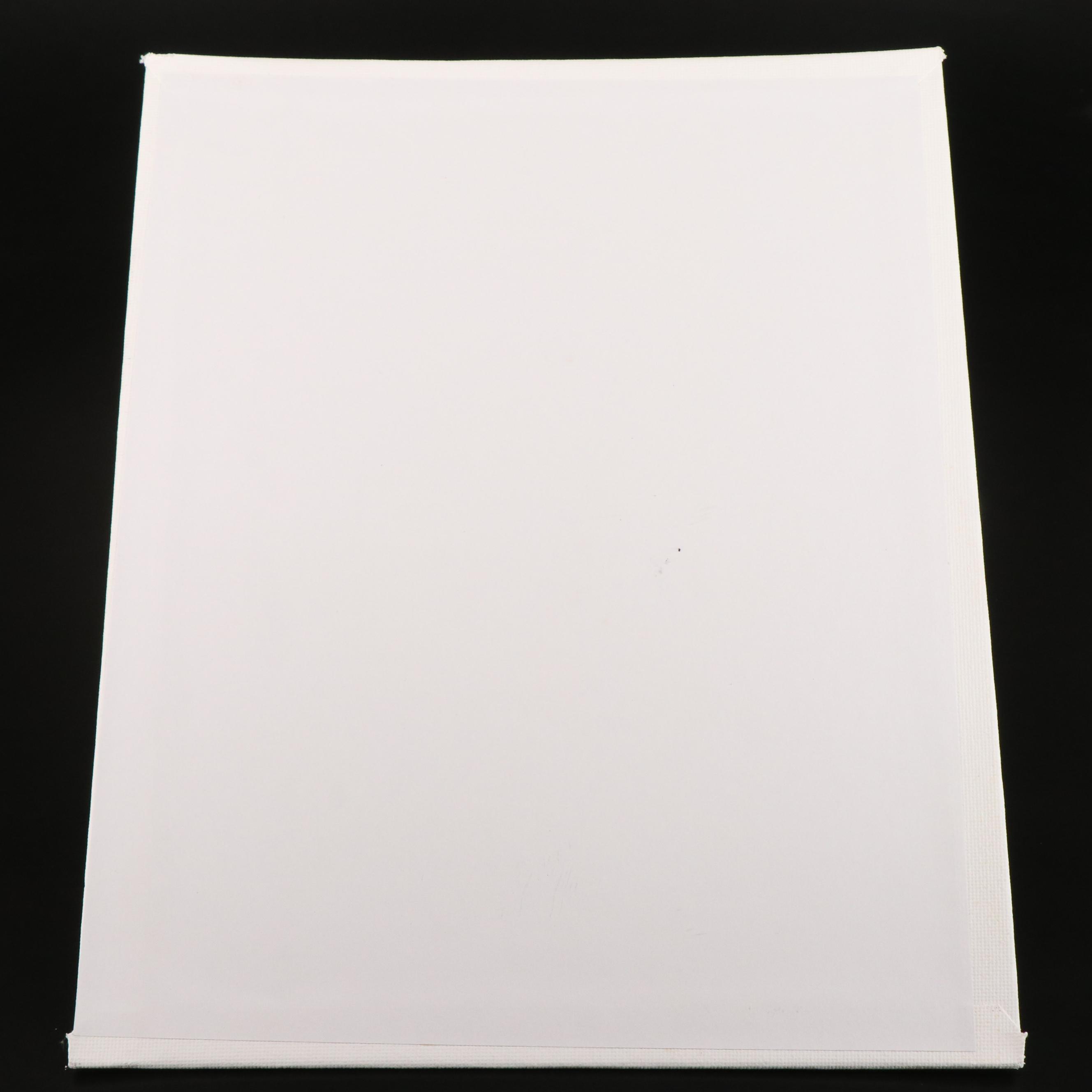 Peter Robert Keil Stylized Acrylic Portrait