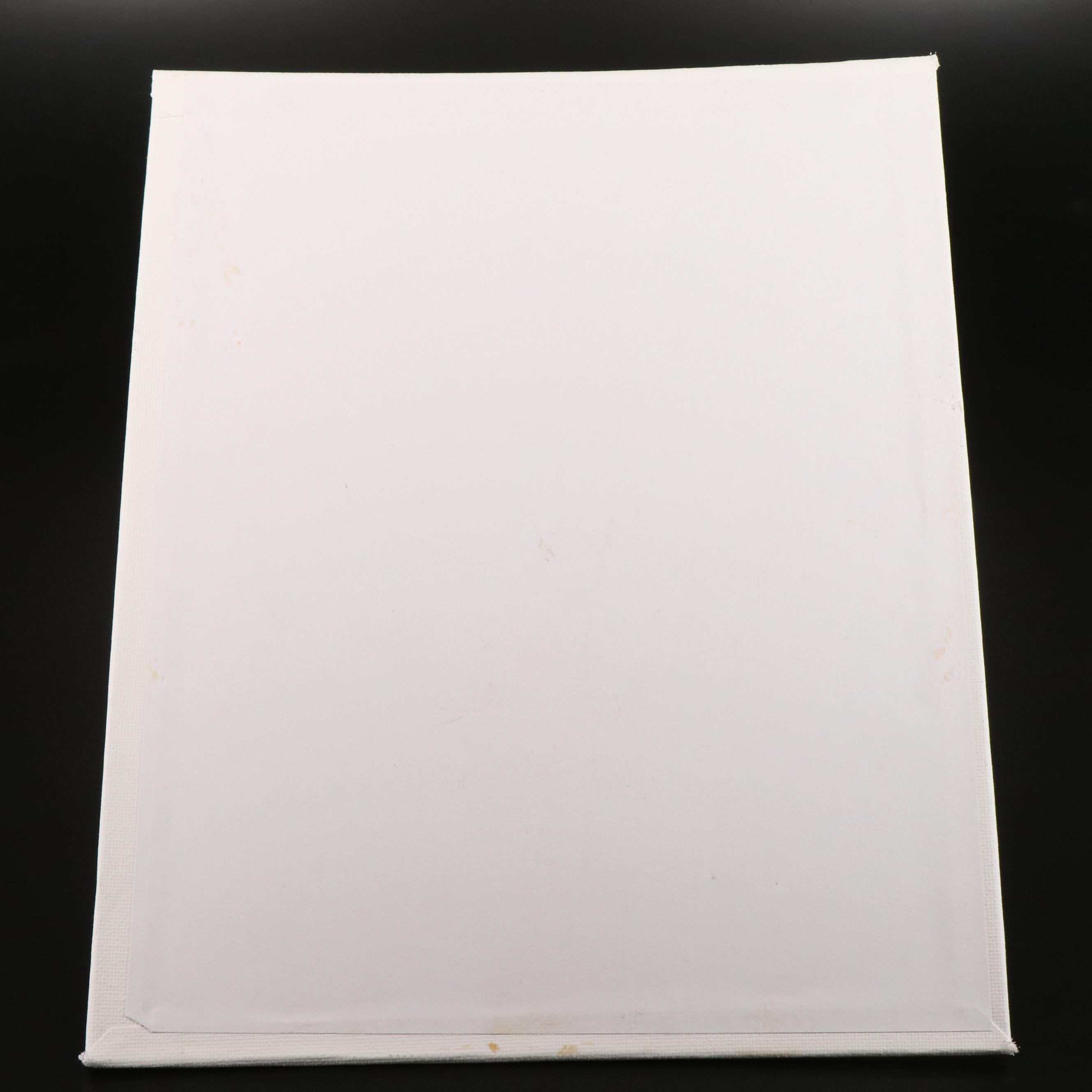 Peter Robert Keil Stylized Acrylic Portrait