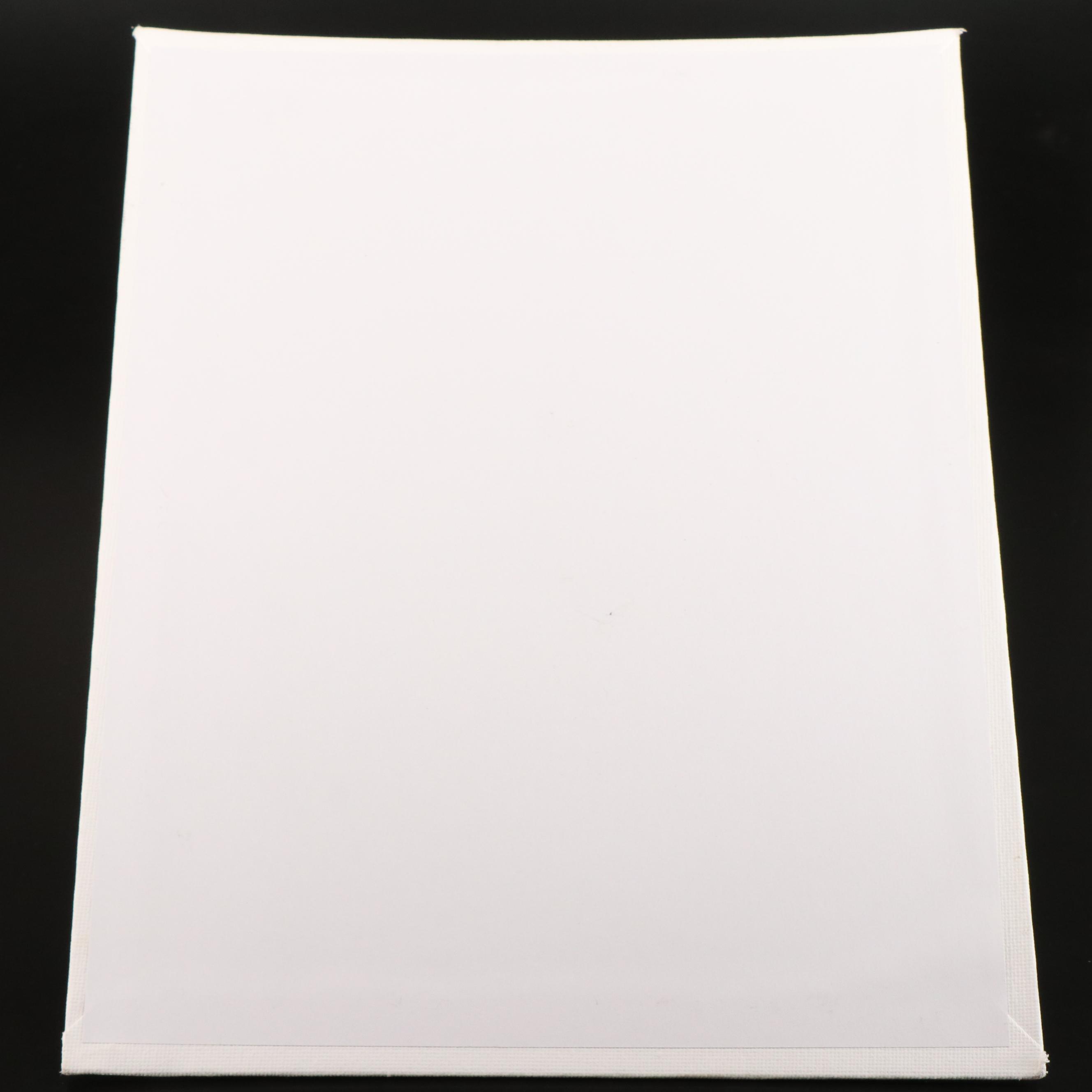 Peter Robert Keil Stylized Acrylic Portrait