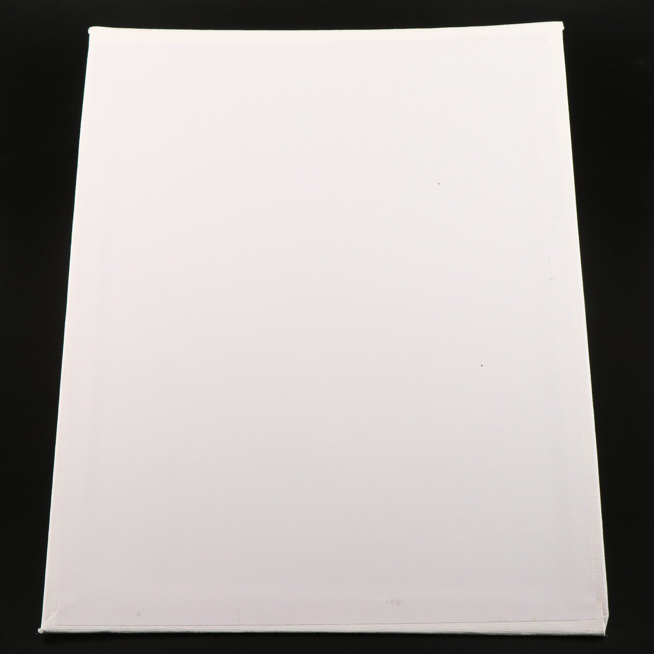 Peter Robert Keil Stylized Acrylic Portrait