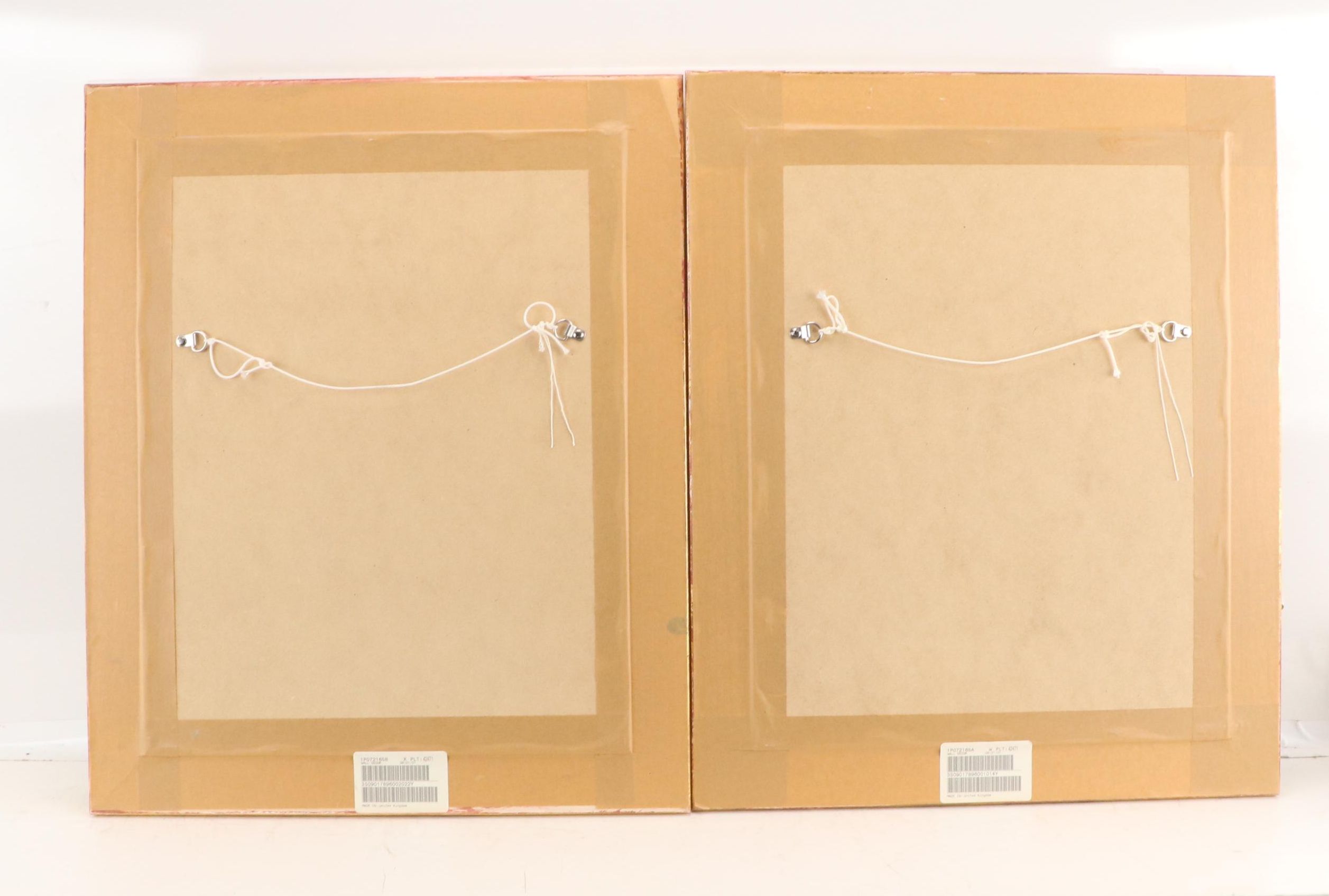 Botanical Digital Prints After Pierre-Joseph Buchoz