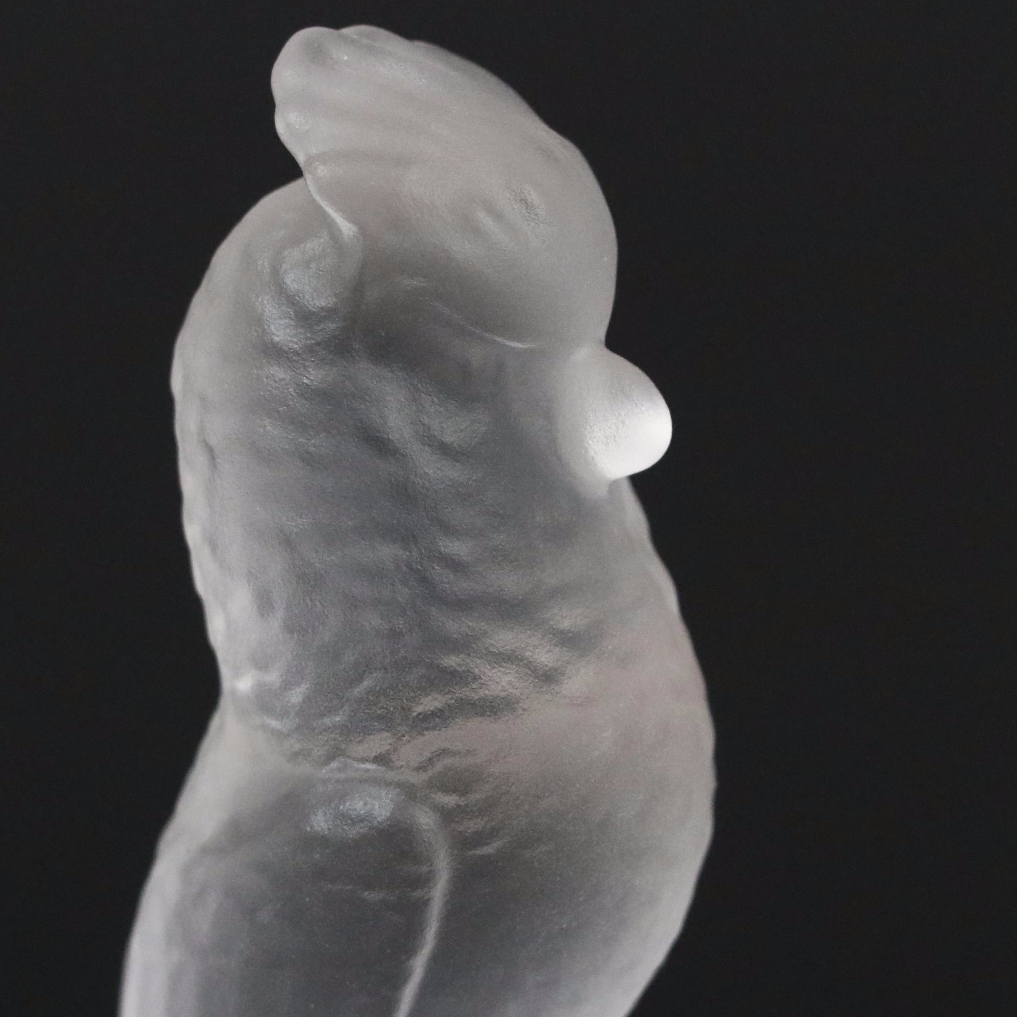 Sèvres Frosted Glass Polar Bear Figurine and Bird Figurines