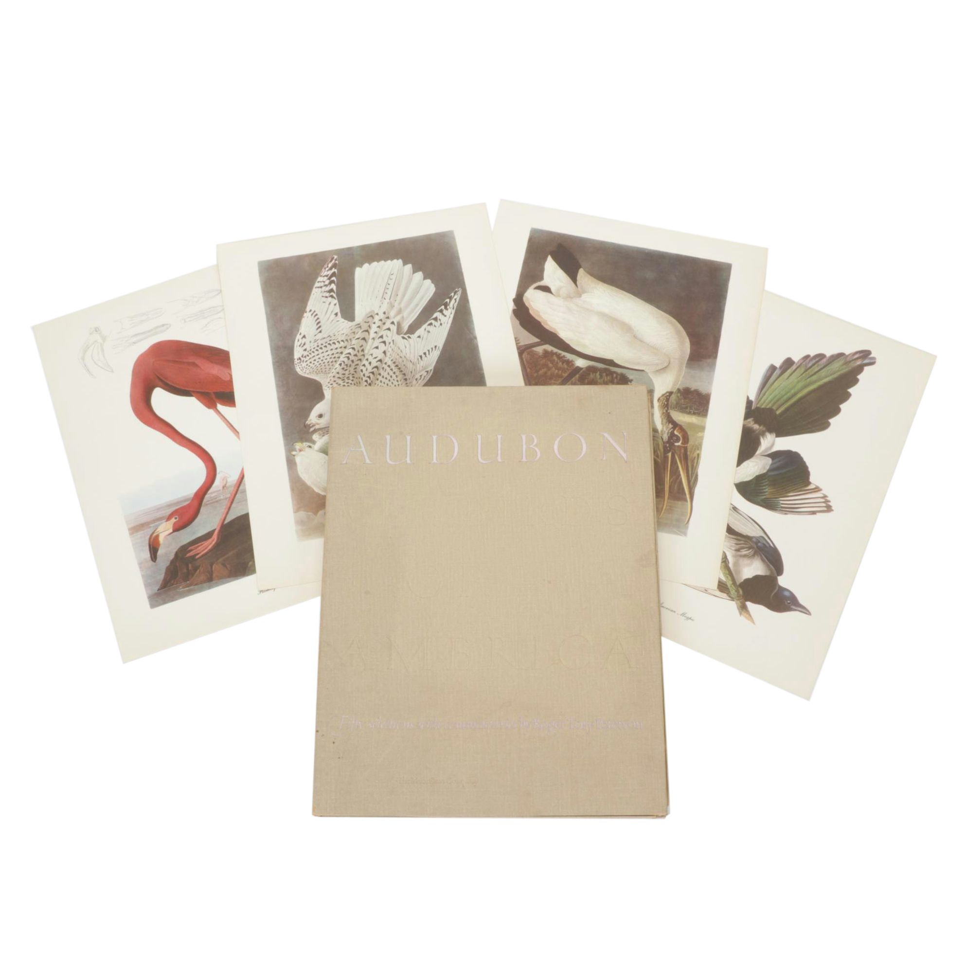 "Birds of America" Print Collection by Audubon and Roger Tory Peterson