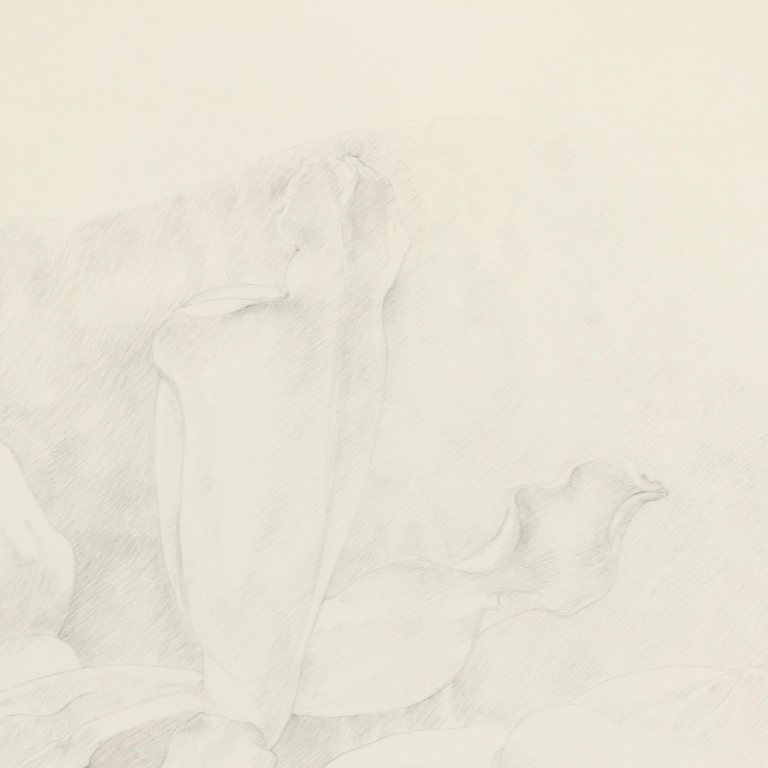 Patt Franklin Graphite Still Life Drawing "An Orchid and Two Patty Pan Squash"