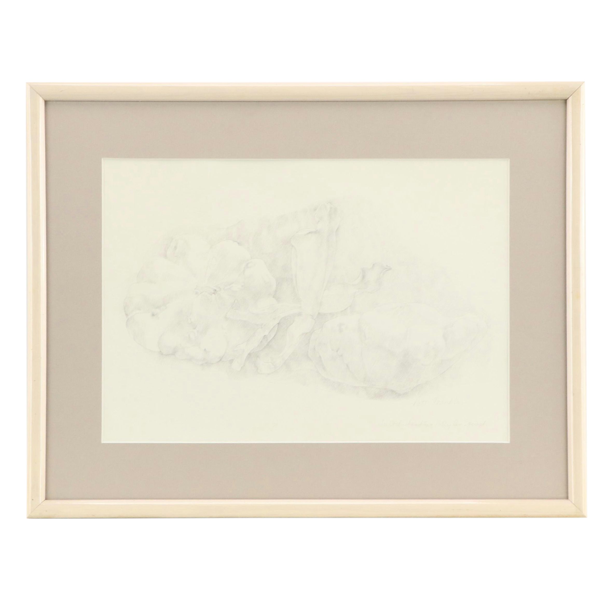 Patt Franklin Graphite Still Life Drawing "An Orchid and Two Patty Pan Squash"