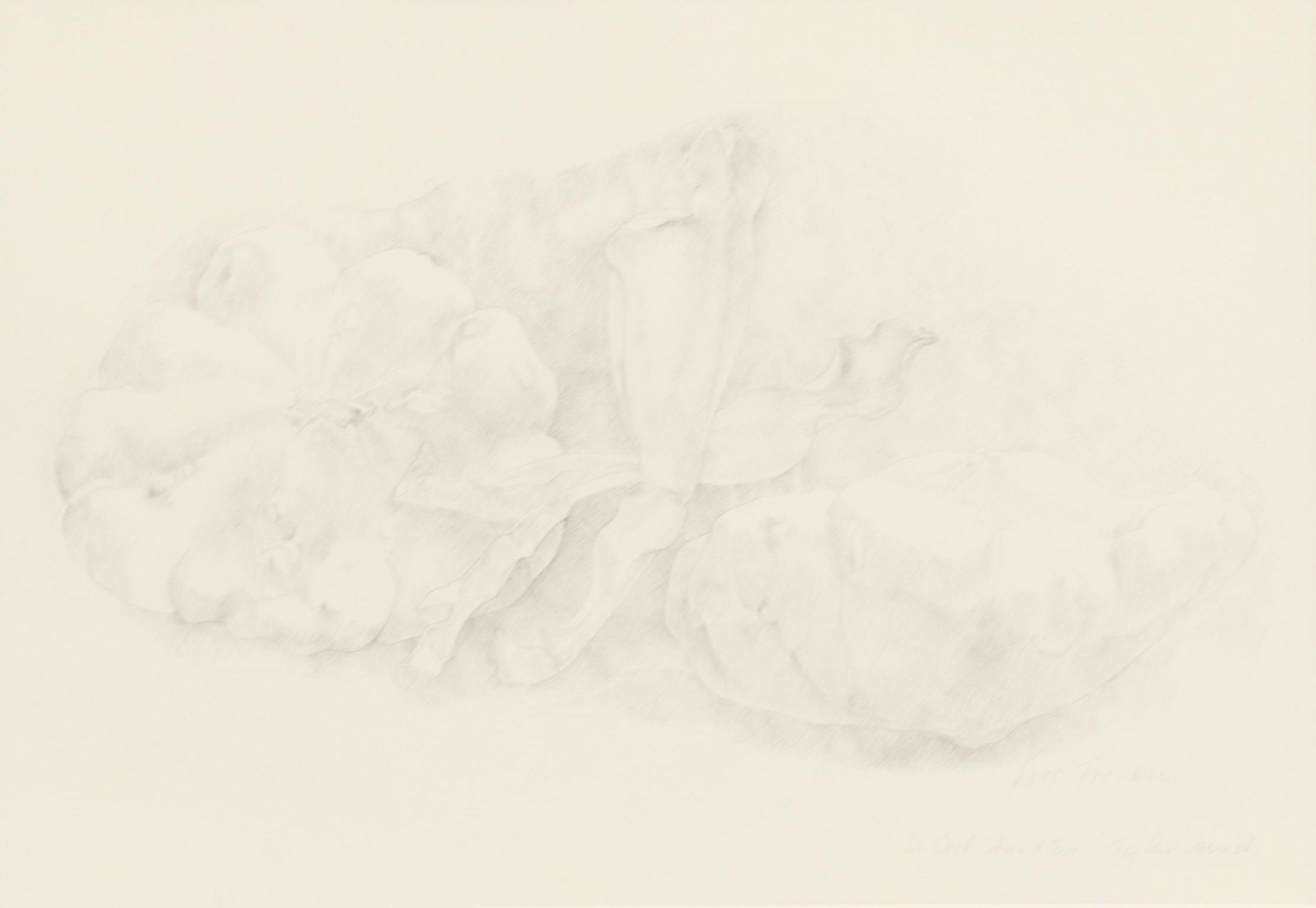 Patt Franklin Graphite Still Life Drawing "An Orchid and Two Patty Pan Squash"