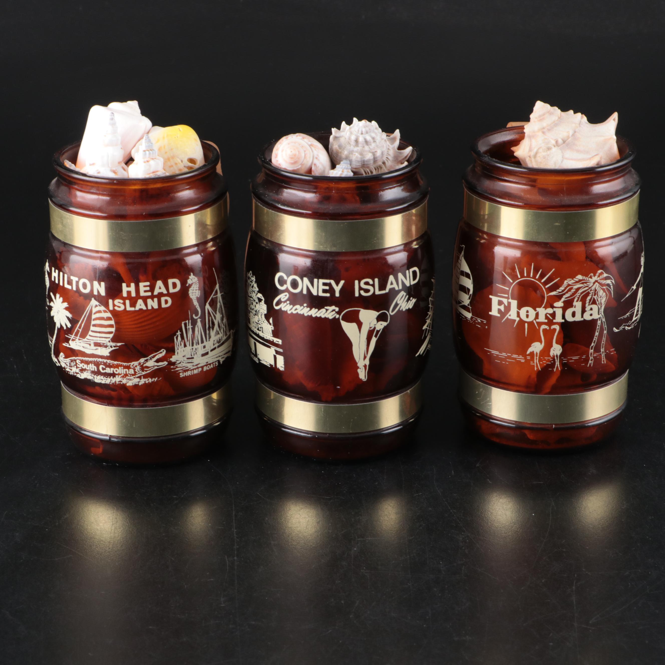 Sand Dollars, Barnacles, Fossil Shark Teeth, and More Shells in Glass Vessels