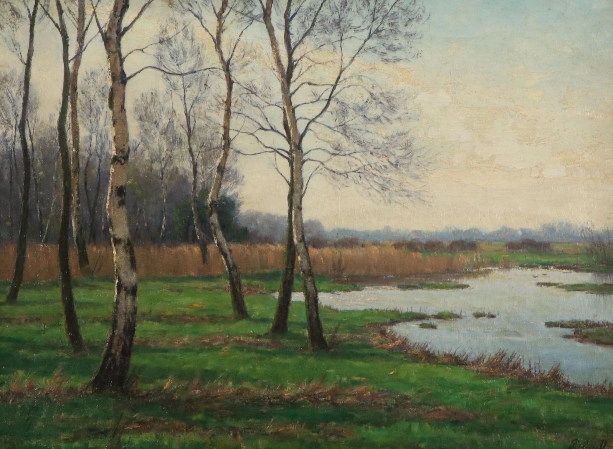 Peter Greeff Oil Painting of Landscape With Birches