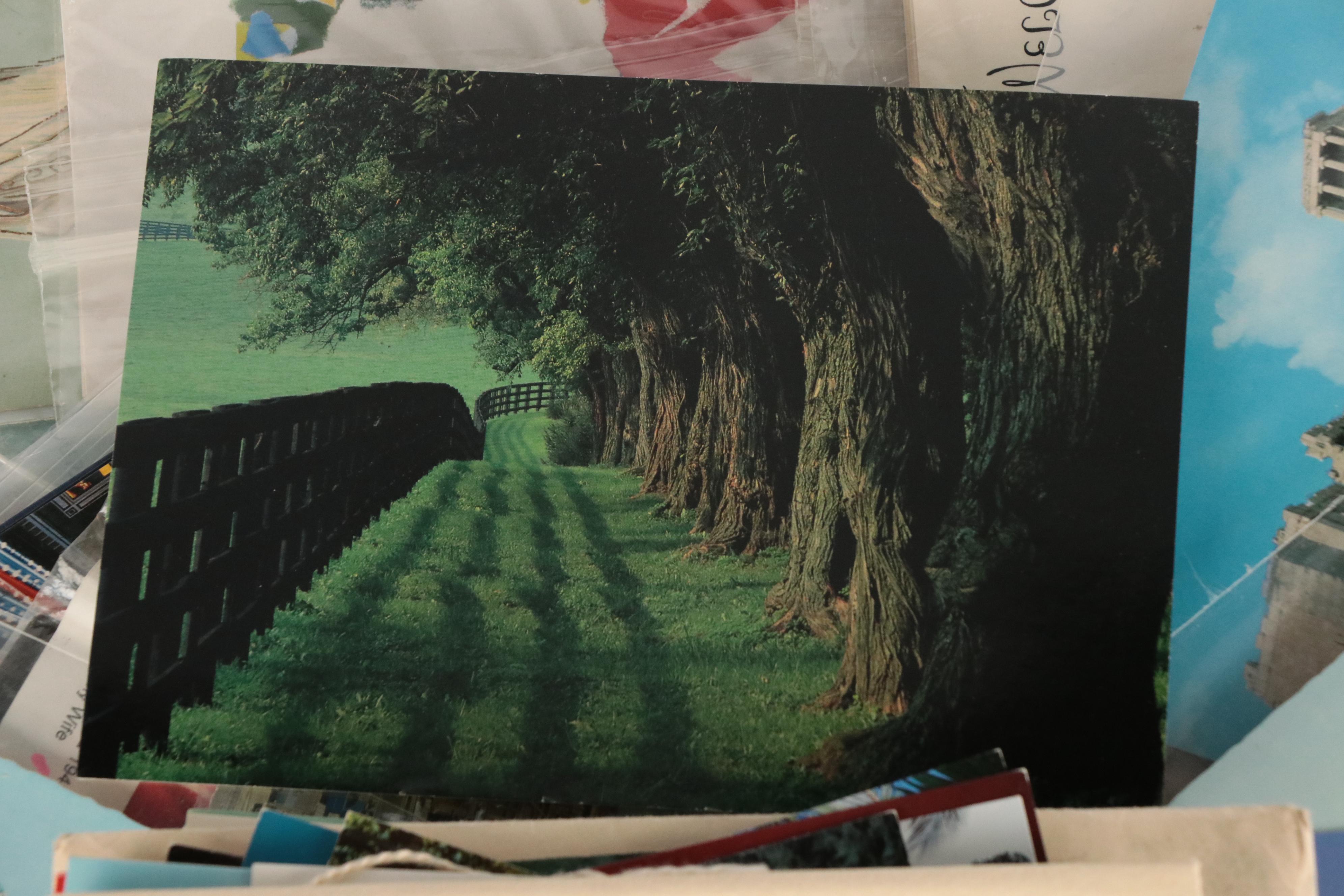 German, London with Other Souvenir and Holiday Postcards and More