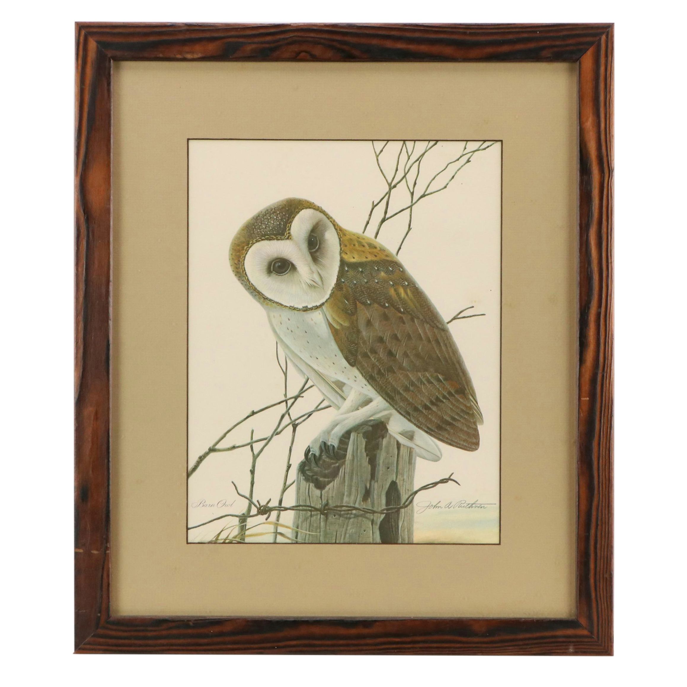 John A. Ruthven Offset Lithograph "Barn Owl," Late 20th Century