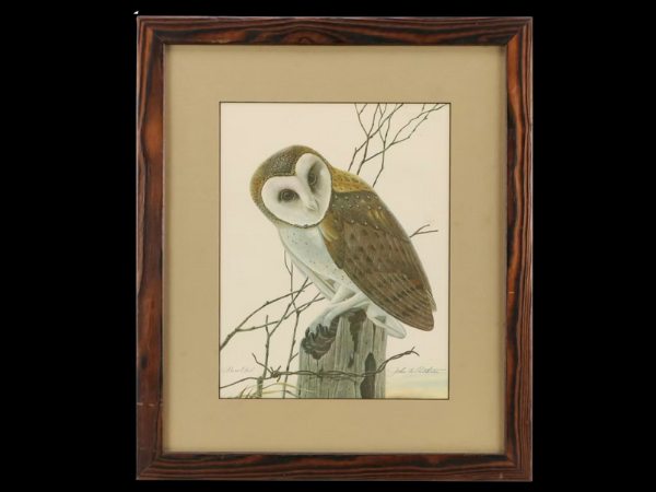 Nature Approved Art, Décor & Jewelry