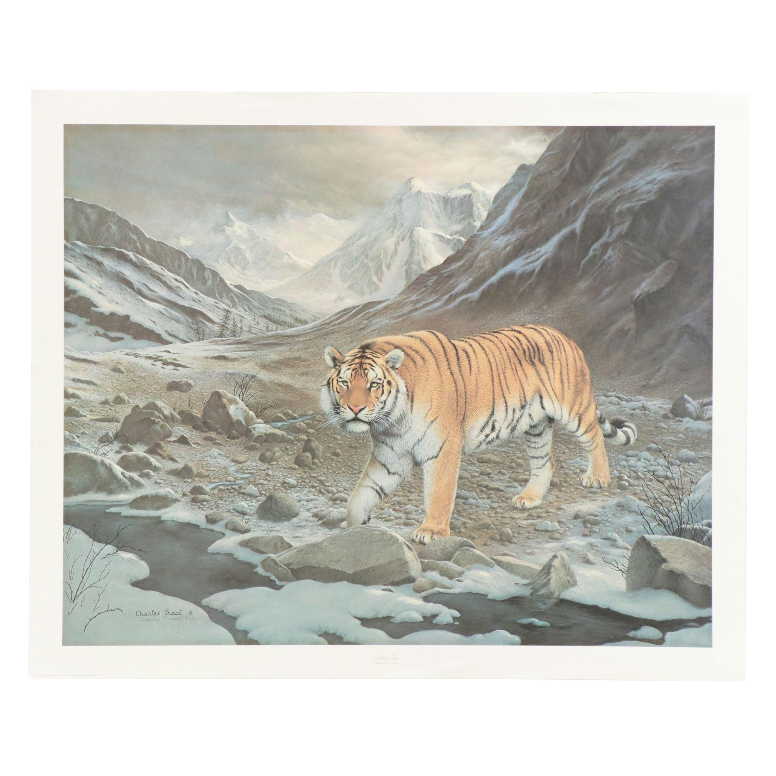 Charles Fracé Offset Lithograph "Siberian Tiger," 1979