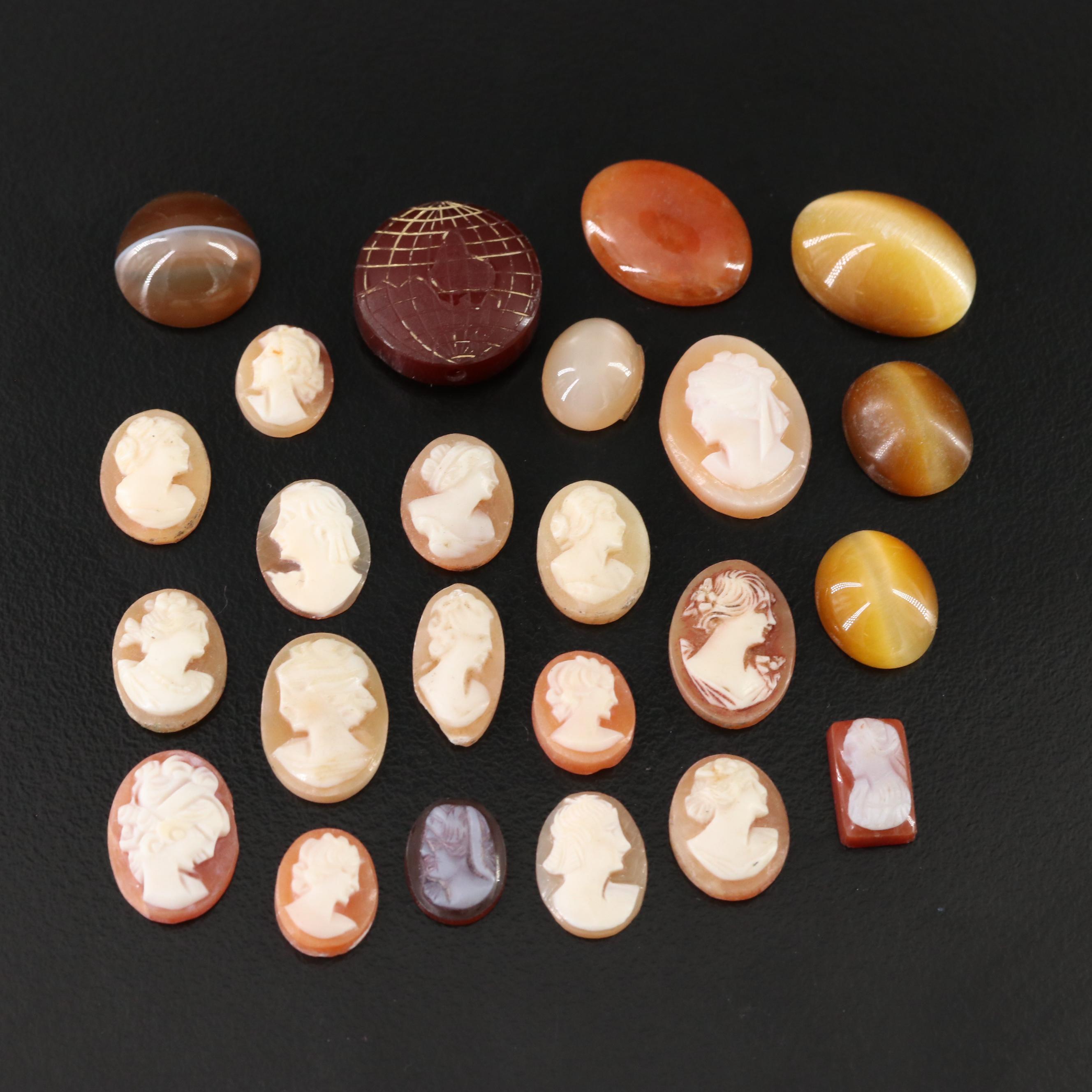 Loose Shell Cameos, Tiger's Eye and Agate