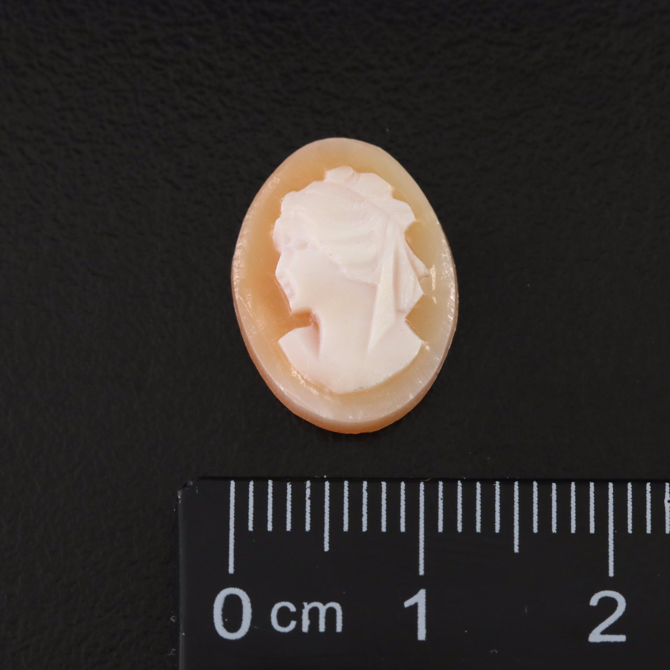 Loose Shell Cameos, Tiger's Eye and Agate