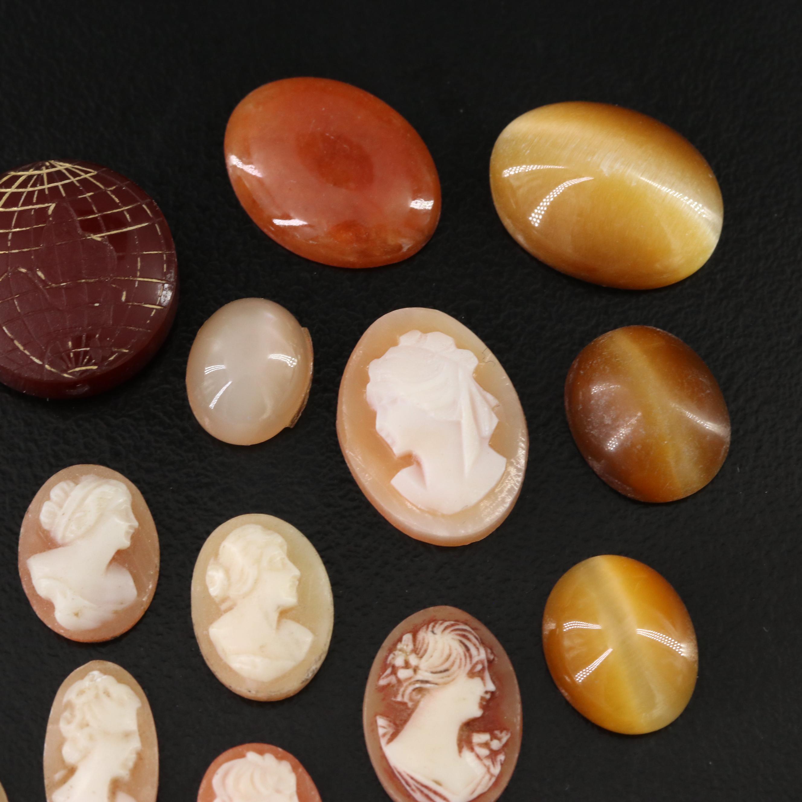 Loose Shell Cameos, Tiger's Eye and Agate