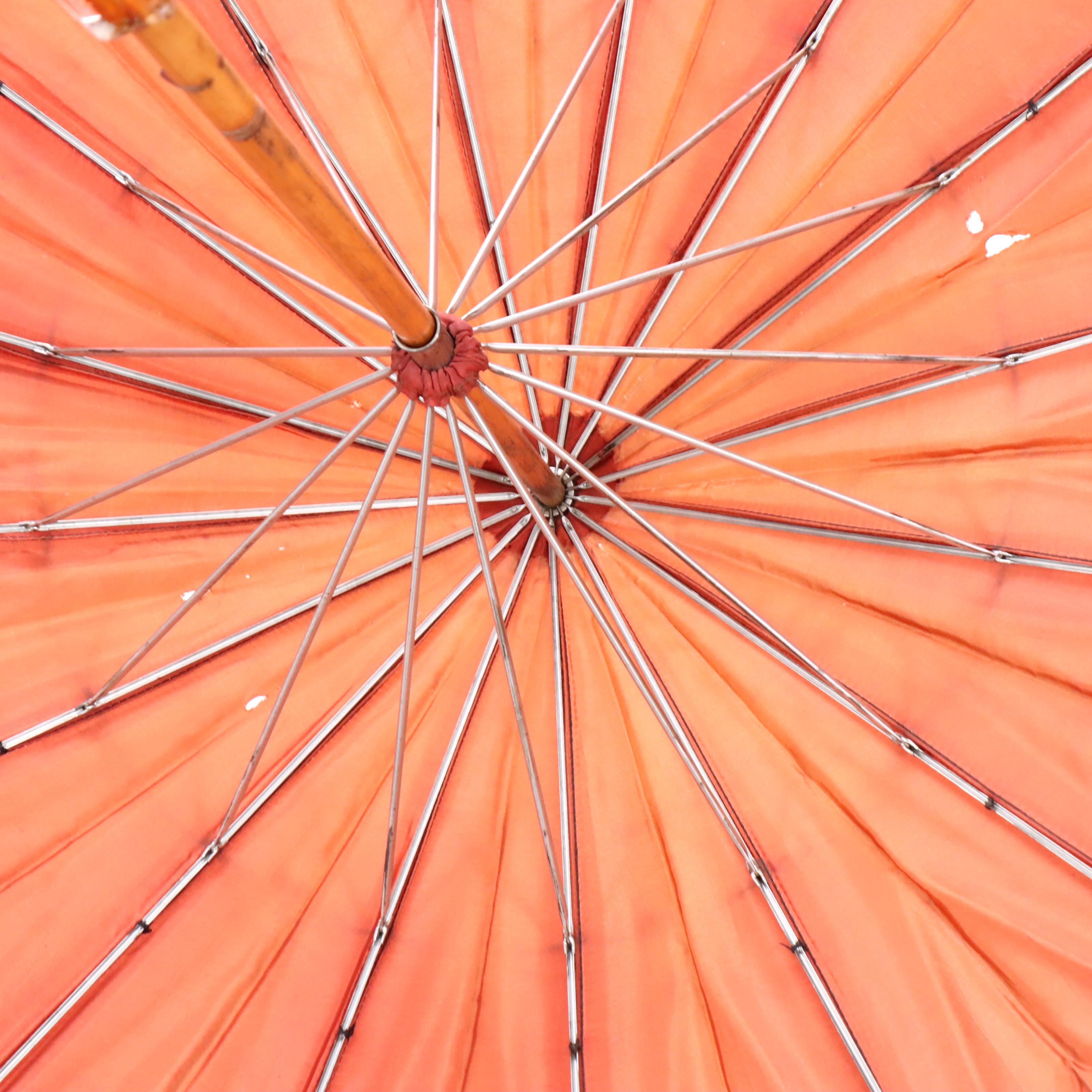 William Suckling Sterling Silver Handled Cane with Umbrella and Cane Collection