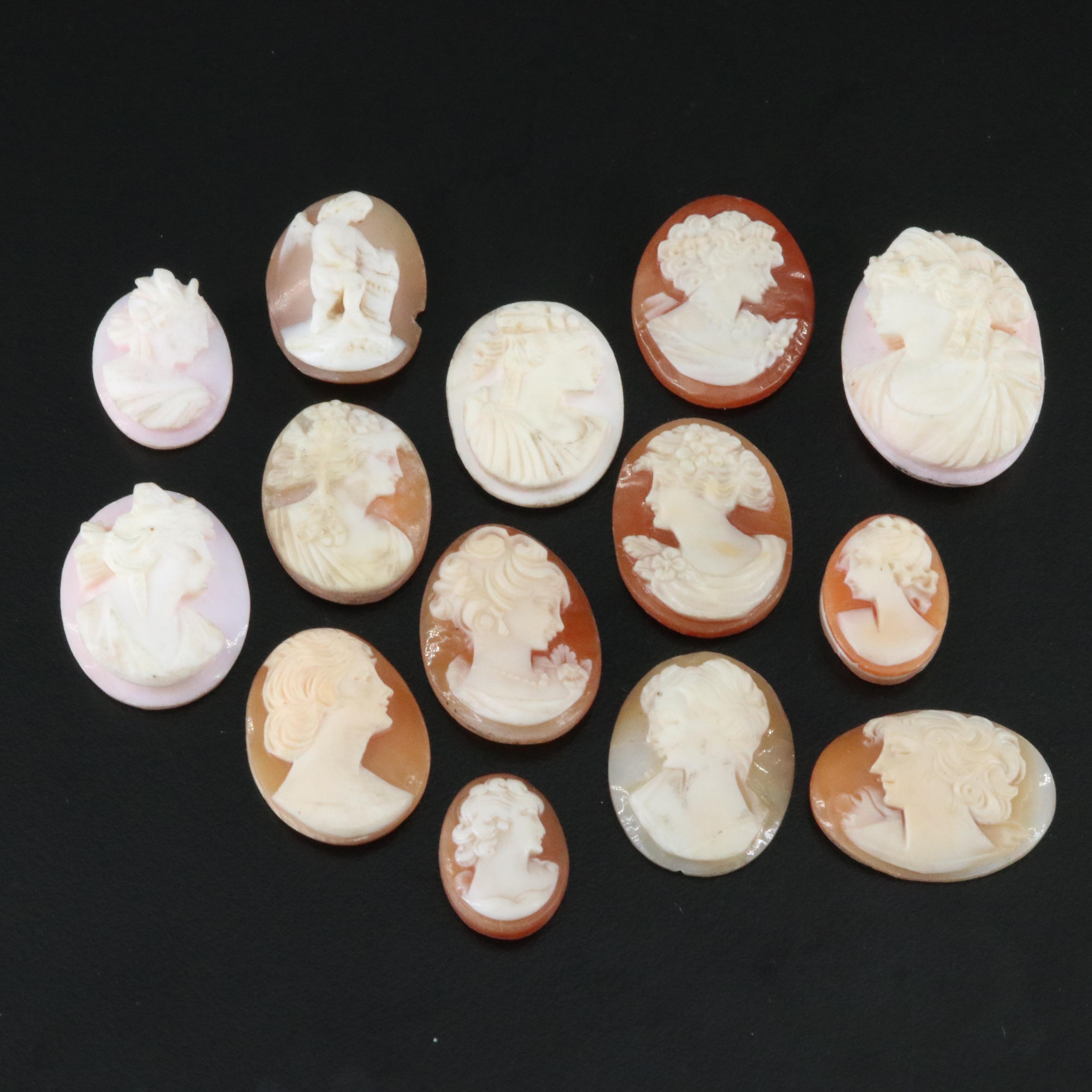 Loose Shell and Coral Cameo Lot