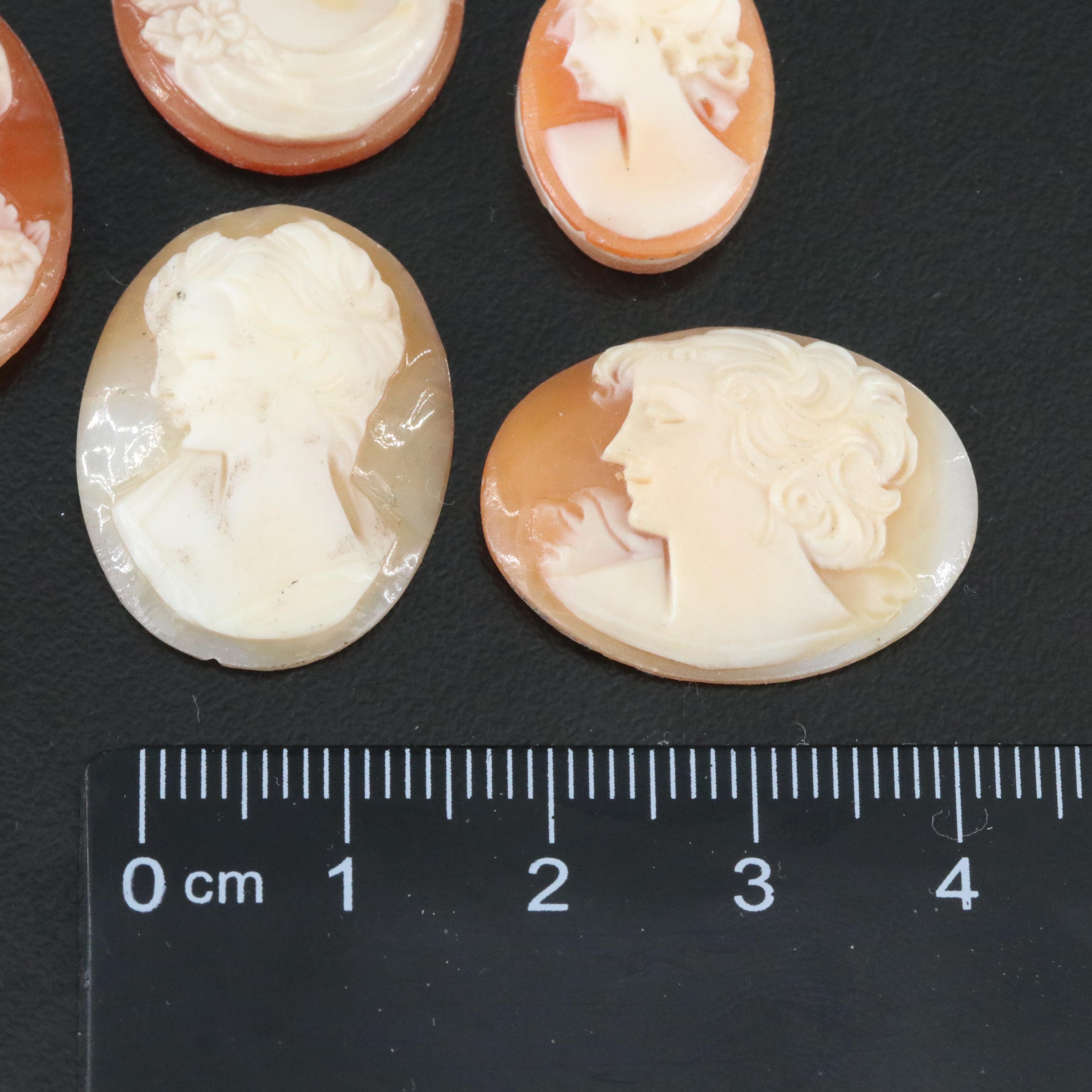 Loose Shell and Coral Cameo Lot