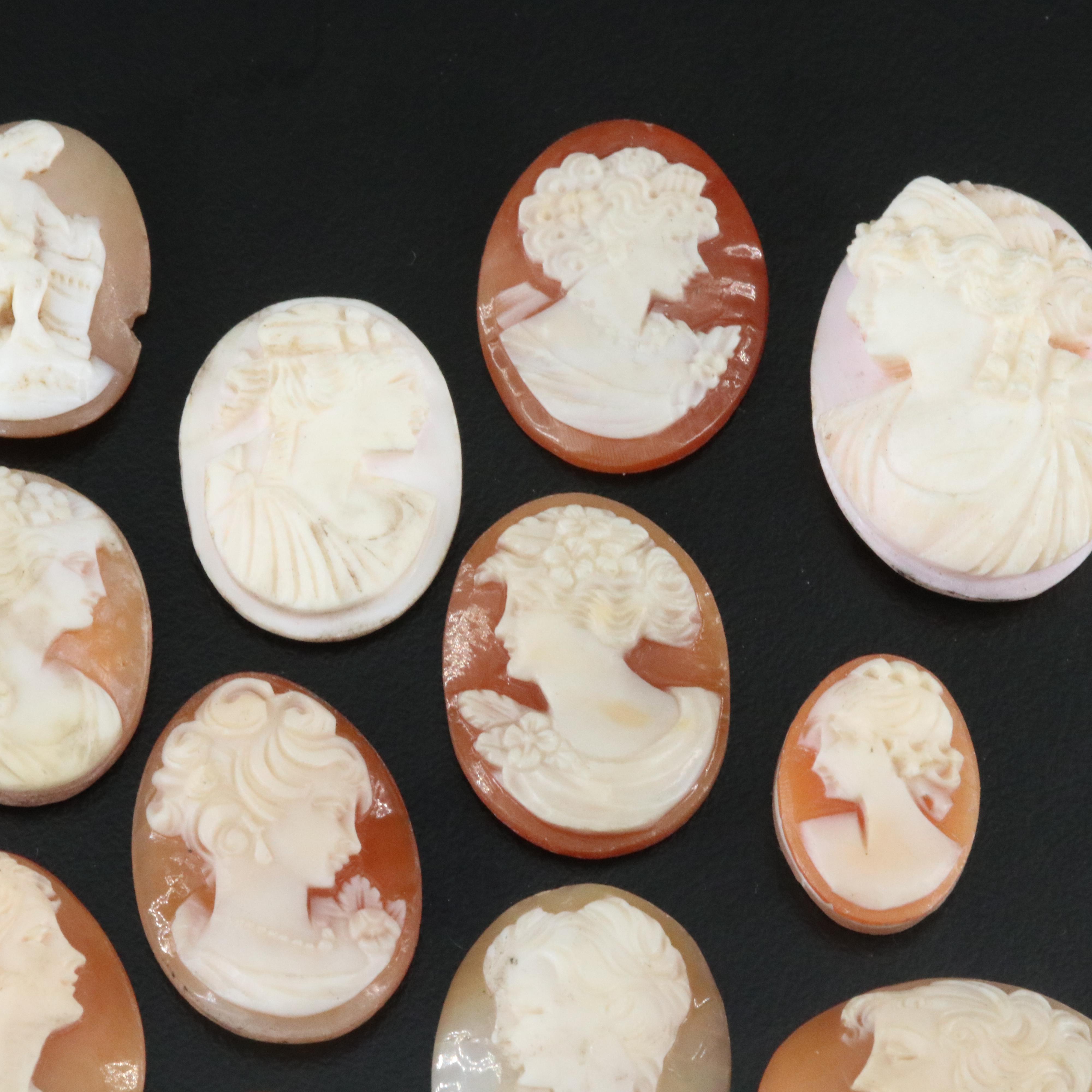 Loose Shell and Coral Cameo Lot