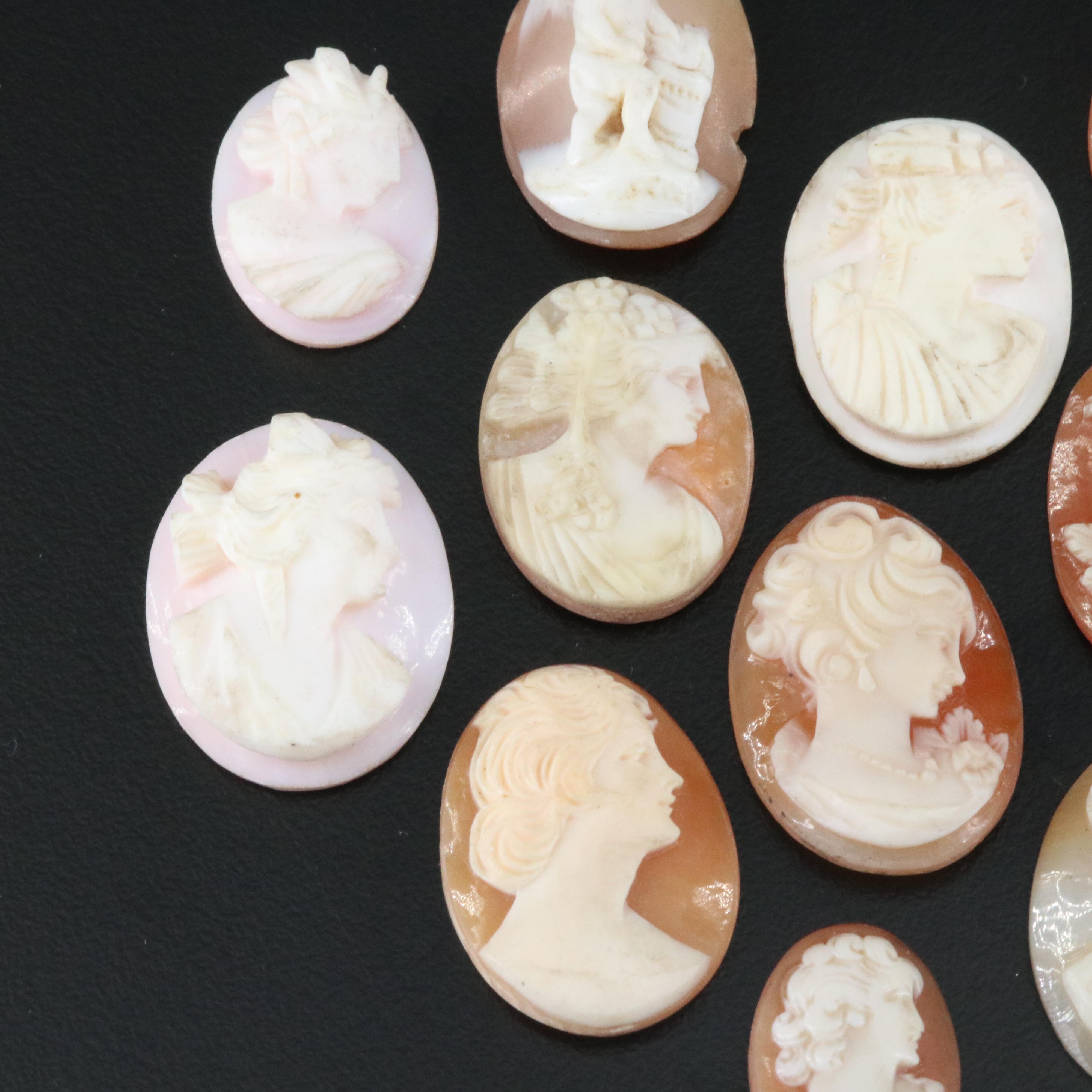 Loose Shell and Coral Cameo Lot
