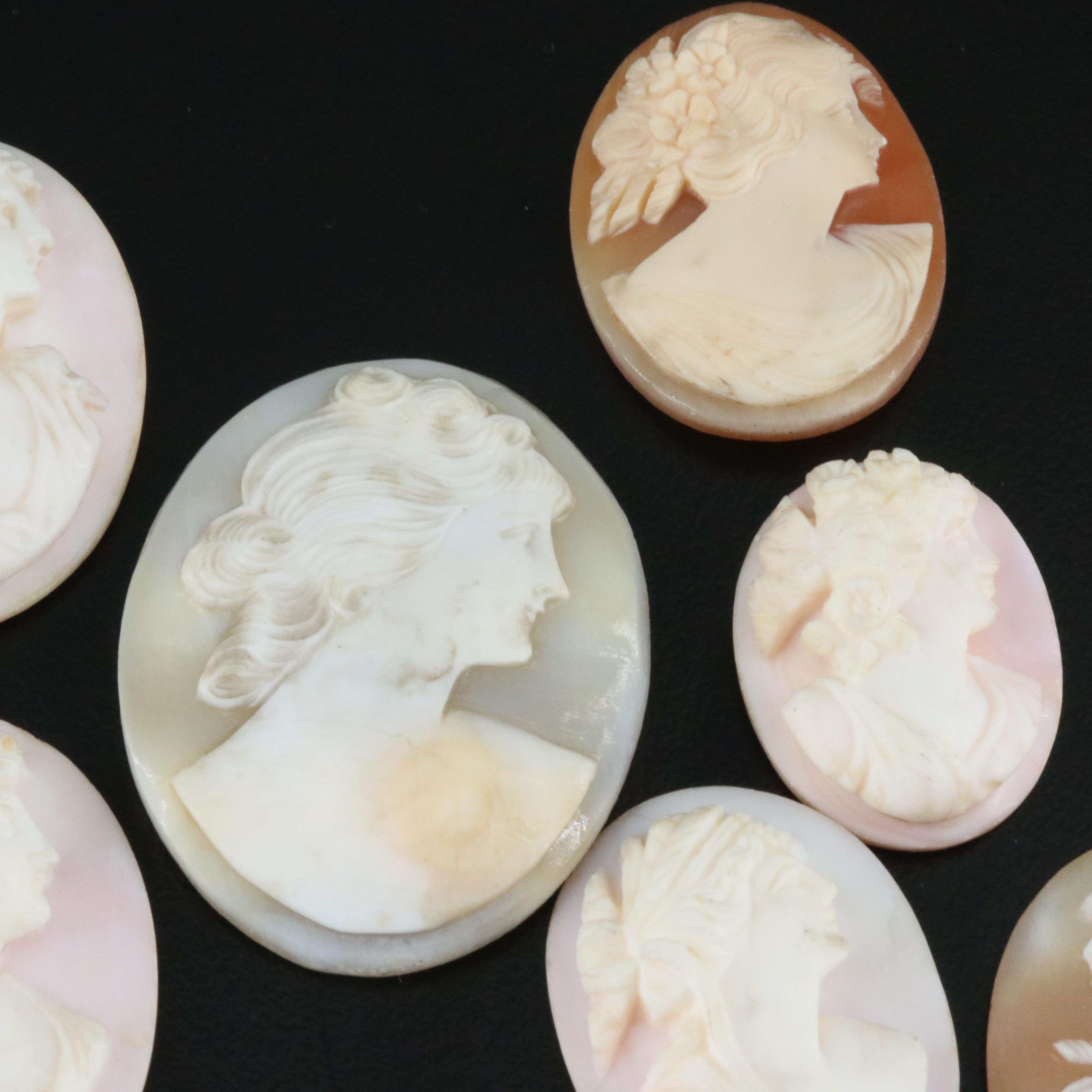 Loose Shell and Coral Cameo Lot