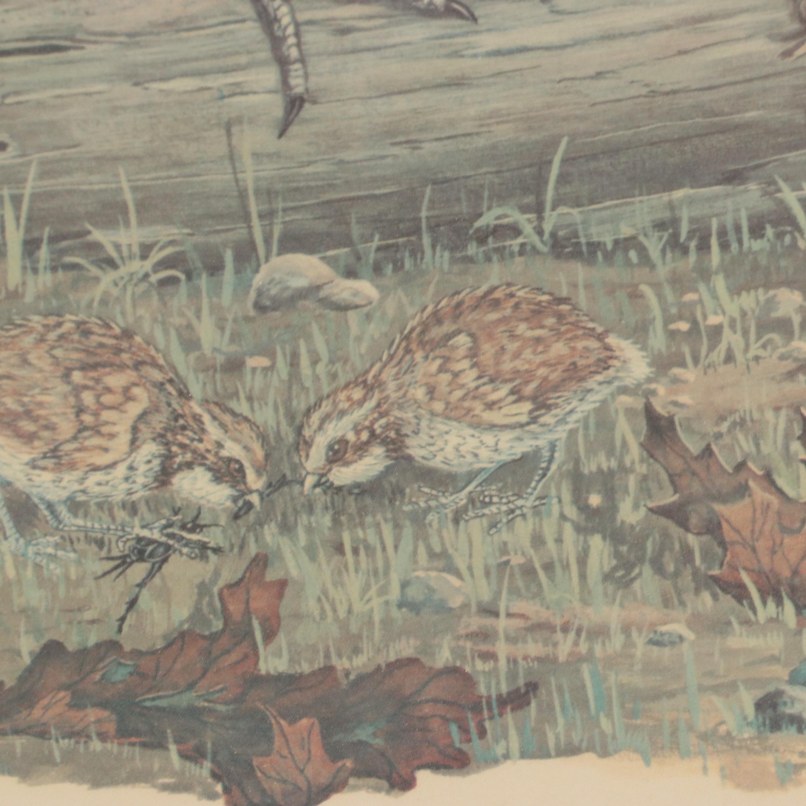 Tony Biagi Offset Lithograph "Bobwhite Quail"