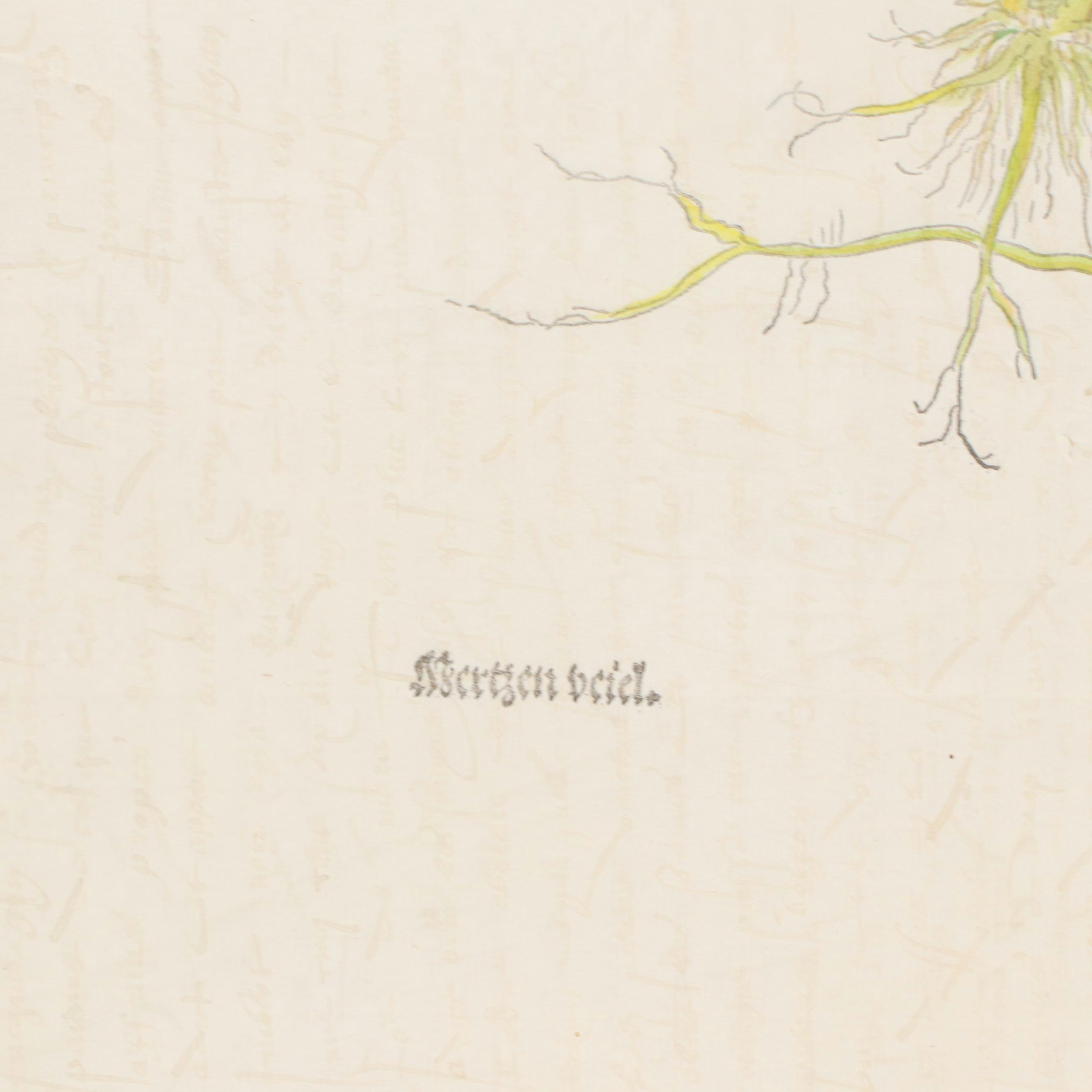 Pair of German Botanical Hand-Colored Woodcuts by Veit Rudolph Speckle