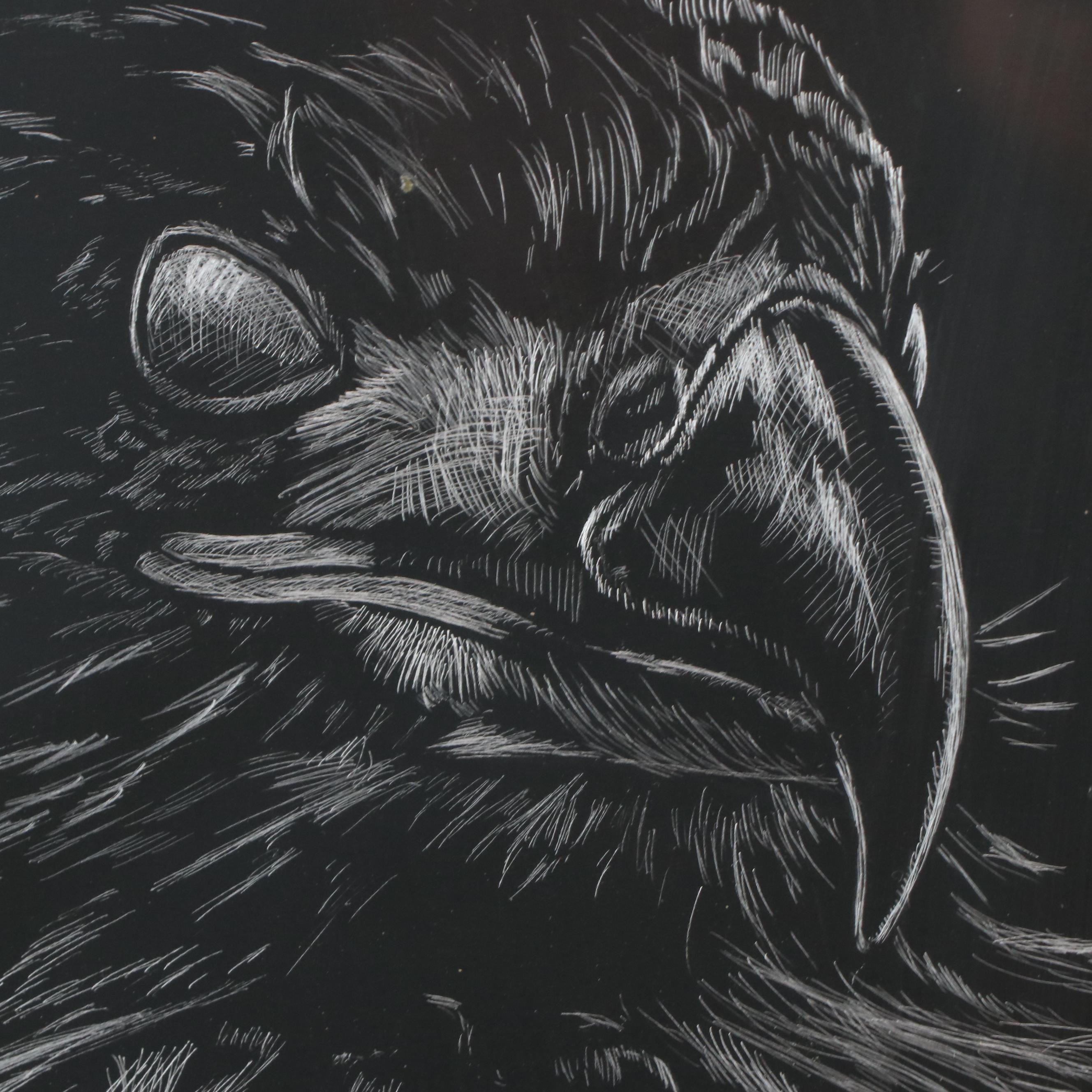 Robert Stillwell Foil Scratchboard Drawing of Hawk, Late 20th Century