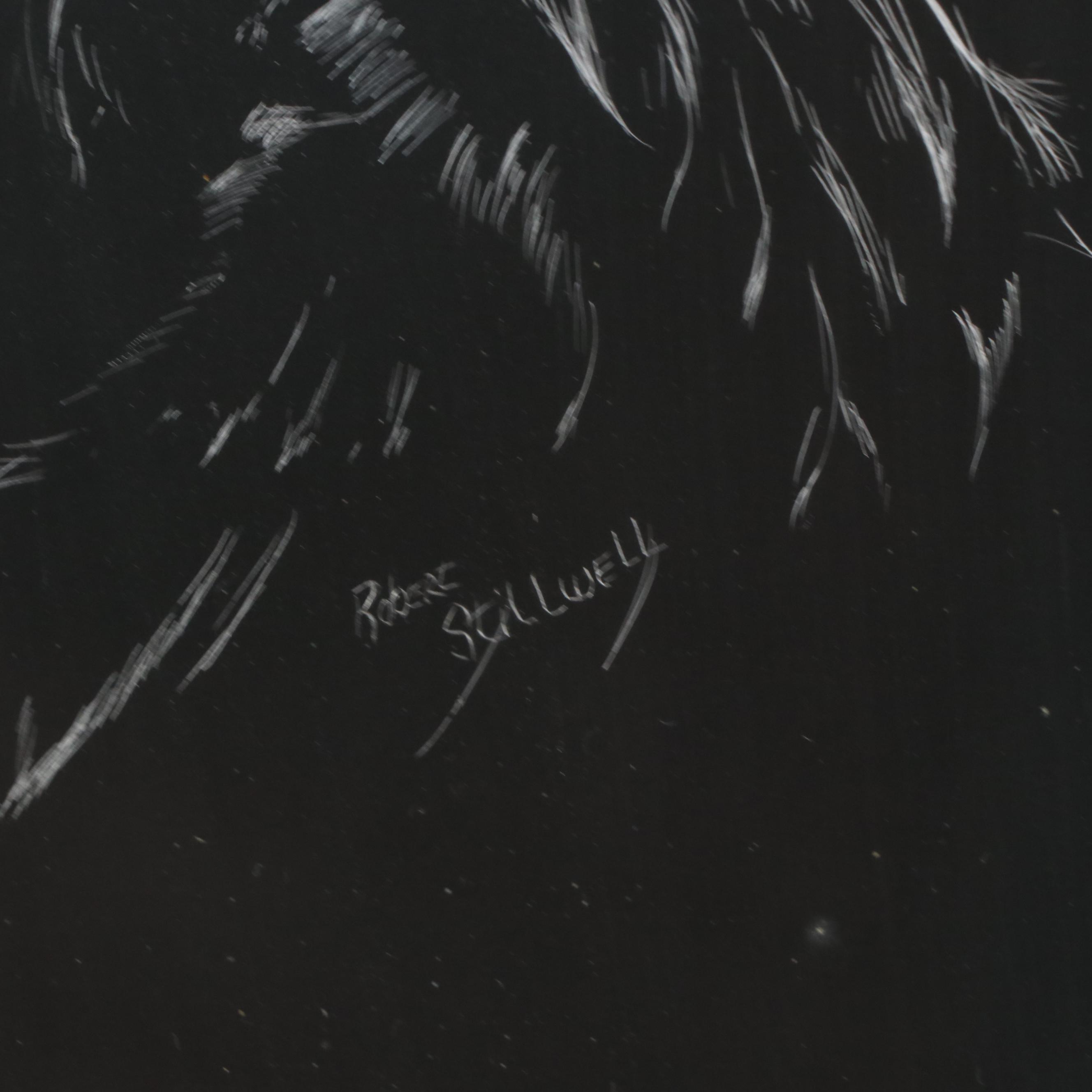Robert Stillwell Foil Scratchboard Drawing of Hawk, Late 20th Century