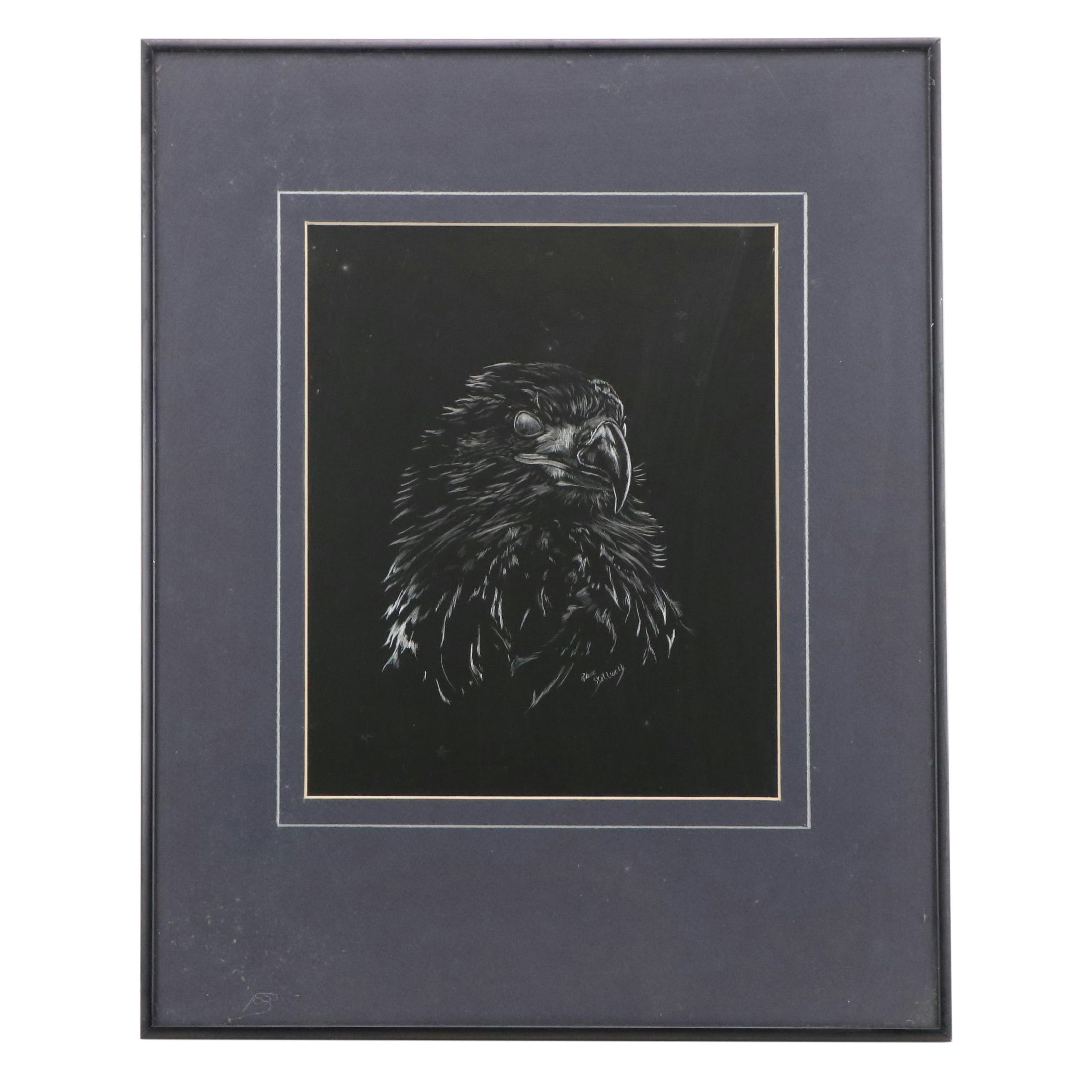 Robert Stillwell Foil Scratchboard Drawing of Hawk, Late 20th Century