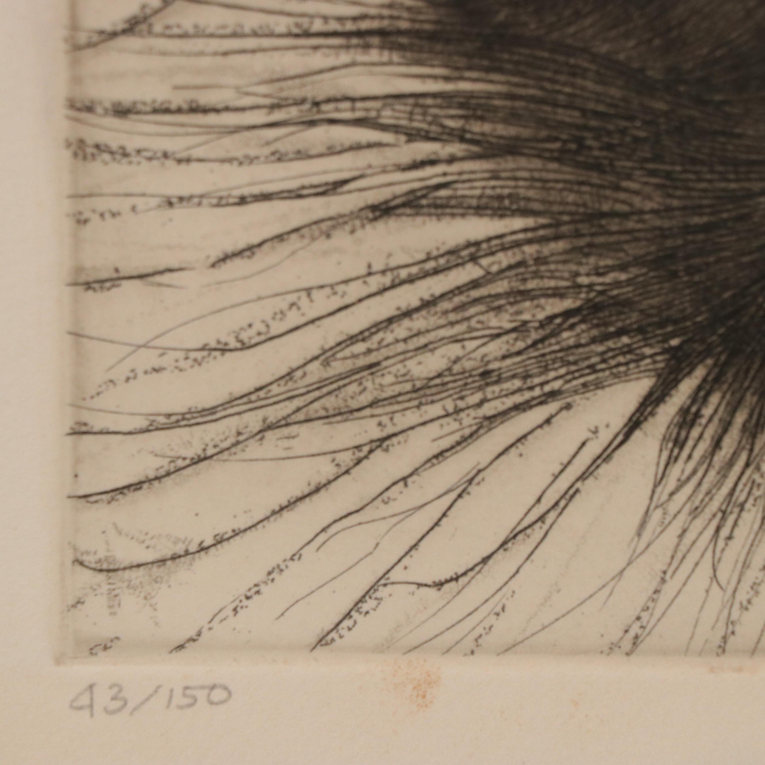 Cuca Romley Etching of Cat, Late 20th Century