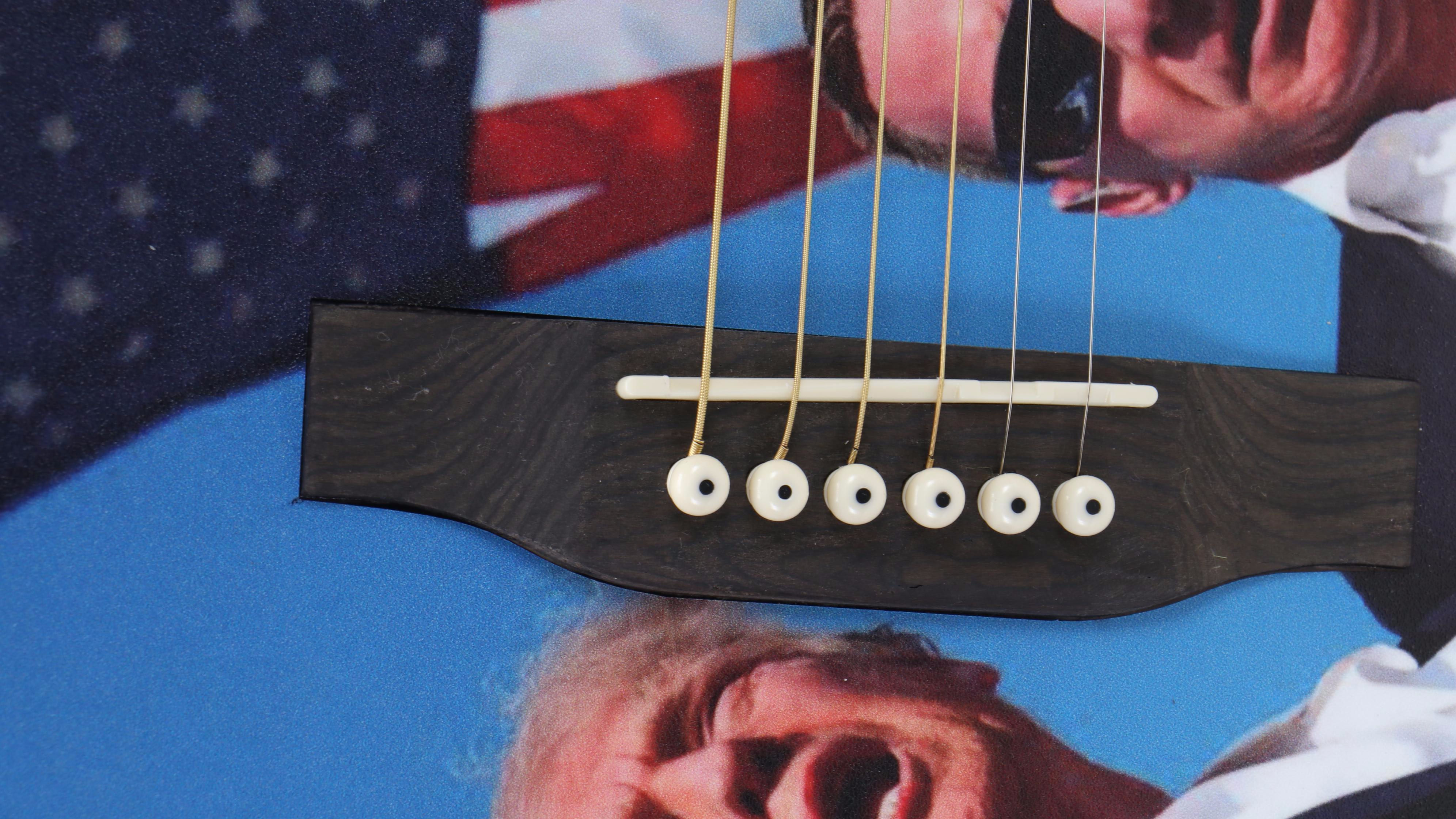 Donald Trump Wrapped Rogue Dreadnought RA 090-NA Acoustic Guitar