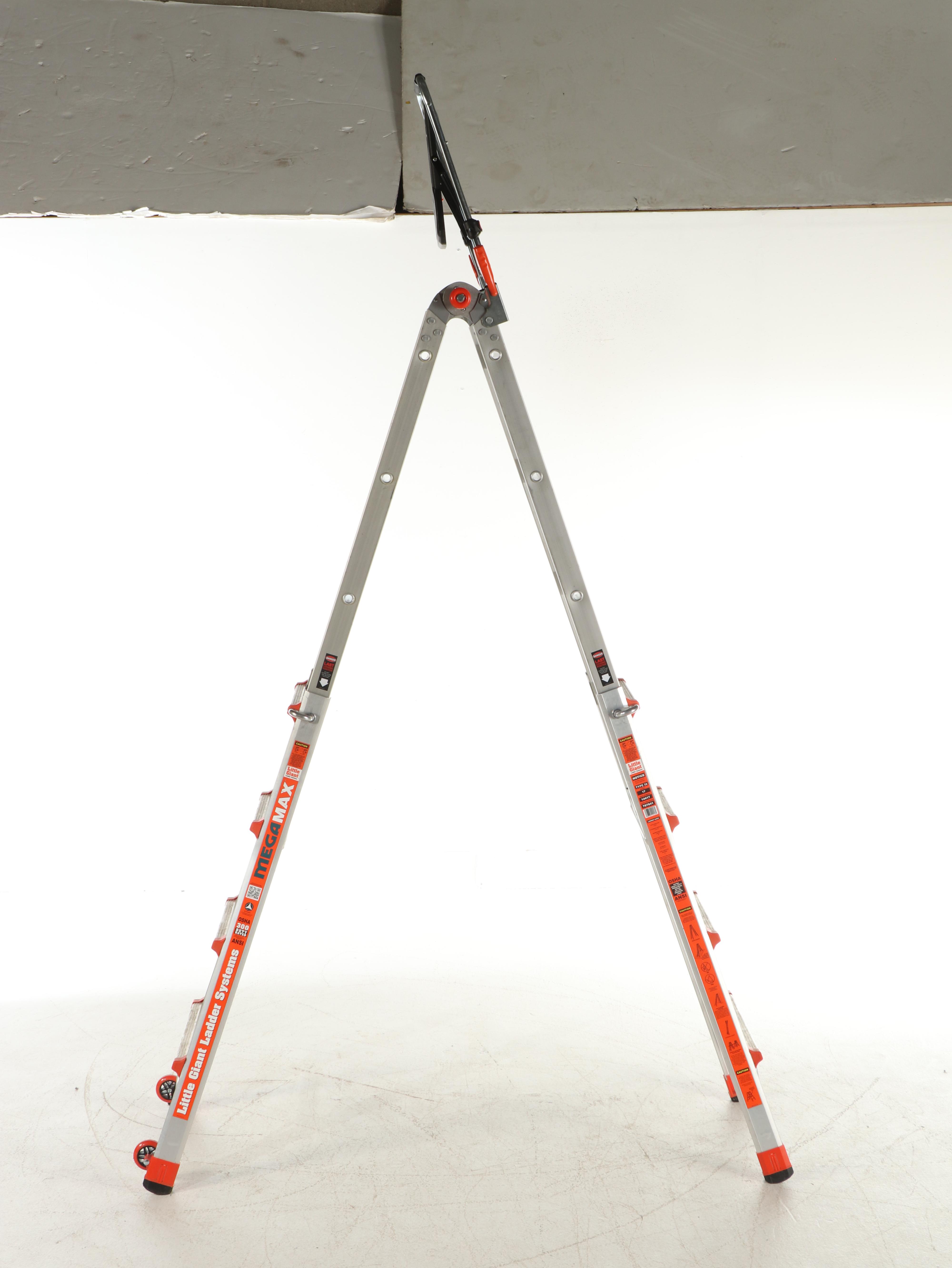 Little Giant Ladder MegaMax and Werner 368 Aluminum Step Ladders