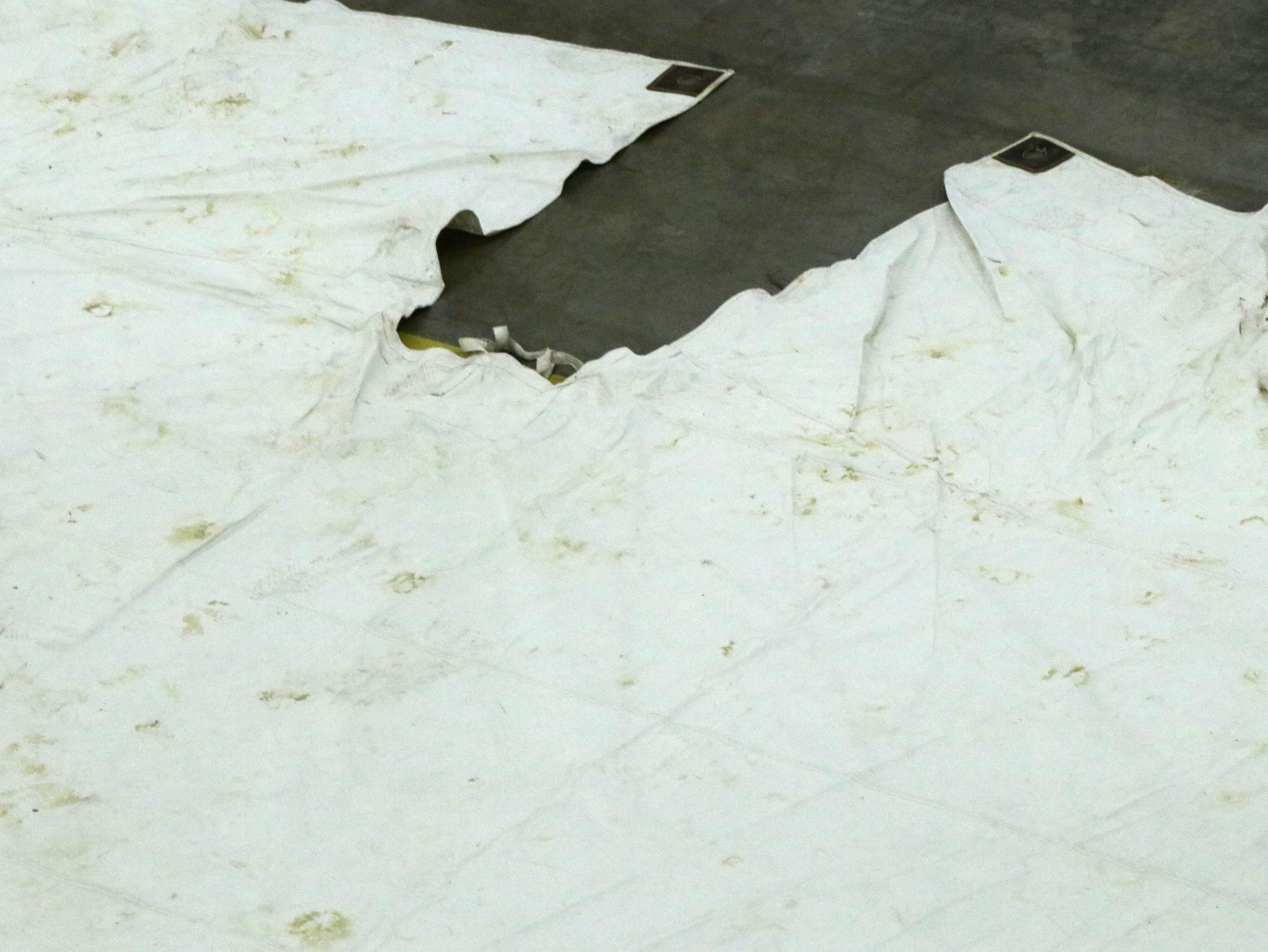 Reliable Tent Backyard Tipi