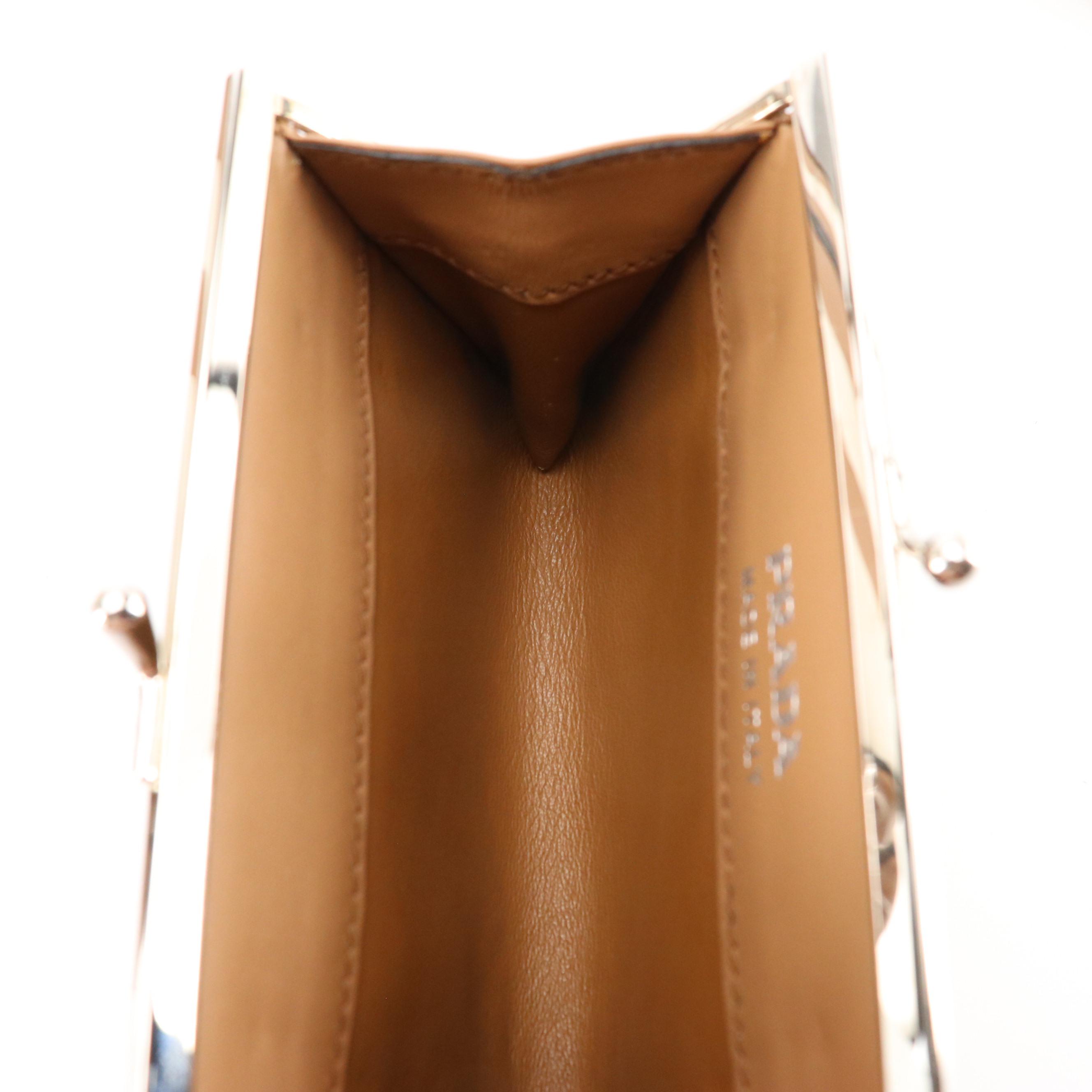 Prada Baiadera Frame Bag in Tricolor Calfskin Leather with Kiss-Lock Pouch