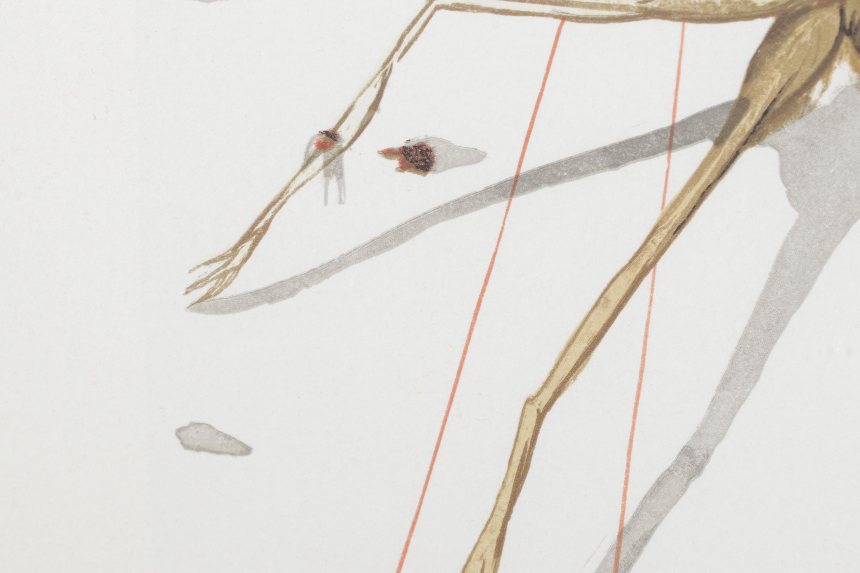 Salvador Dalí Wood Engraving "Arachne"