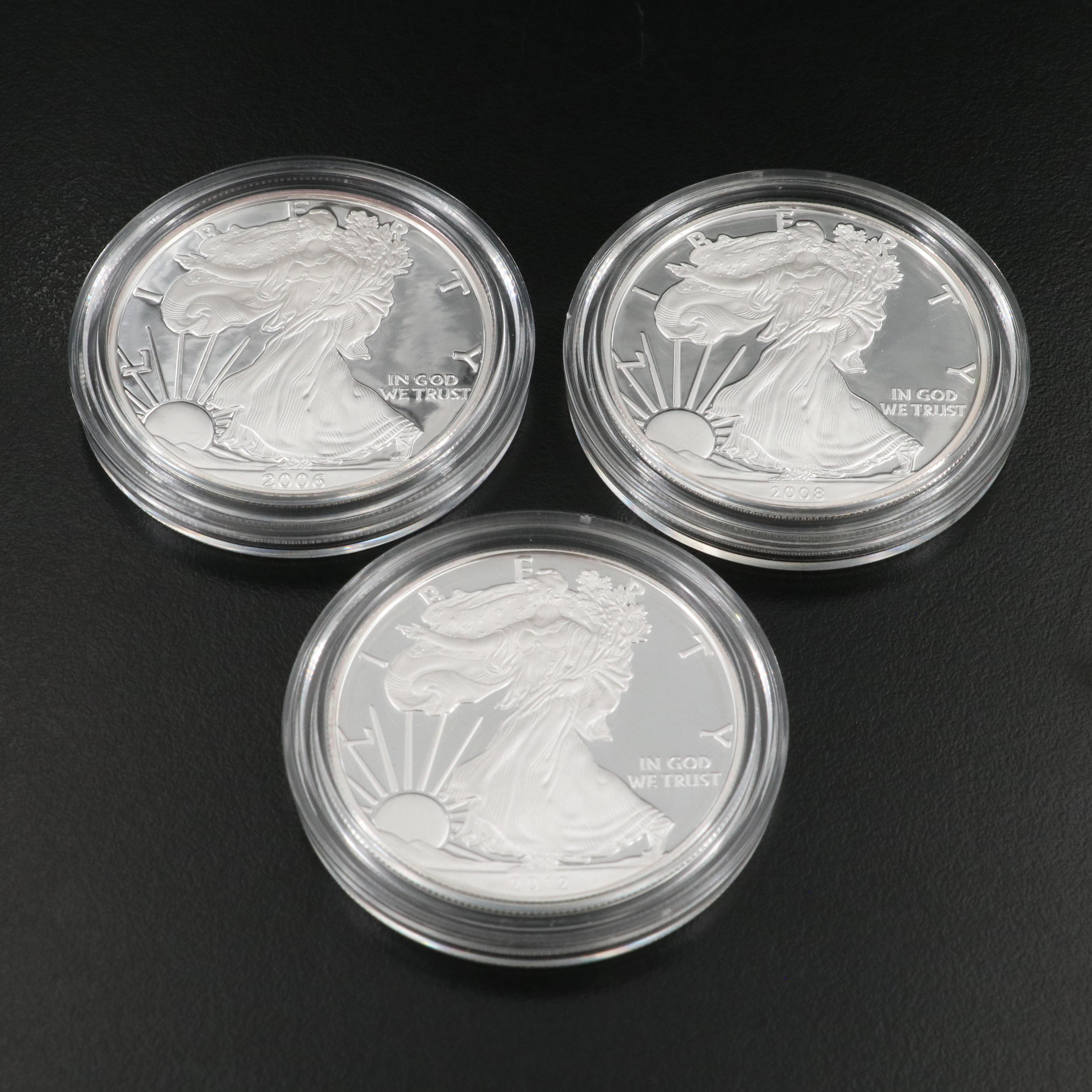 Ten American Silver Eagle Proof Coins