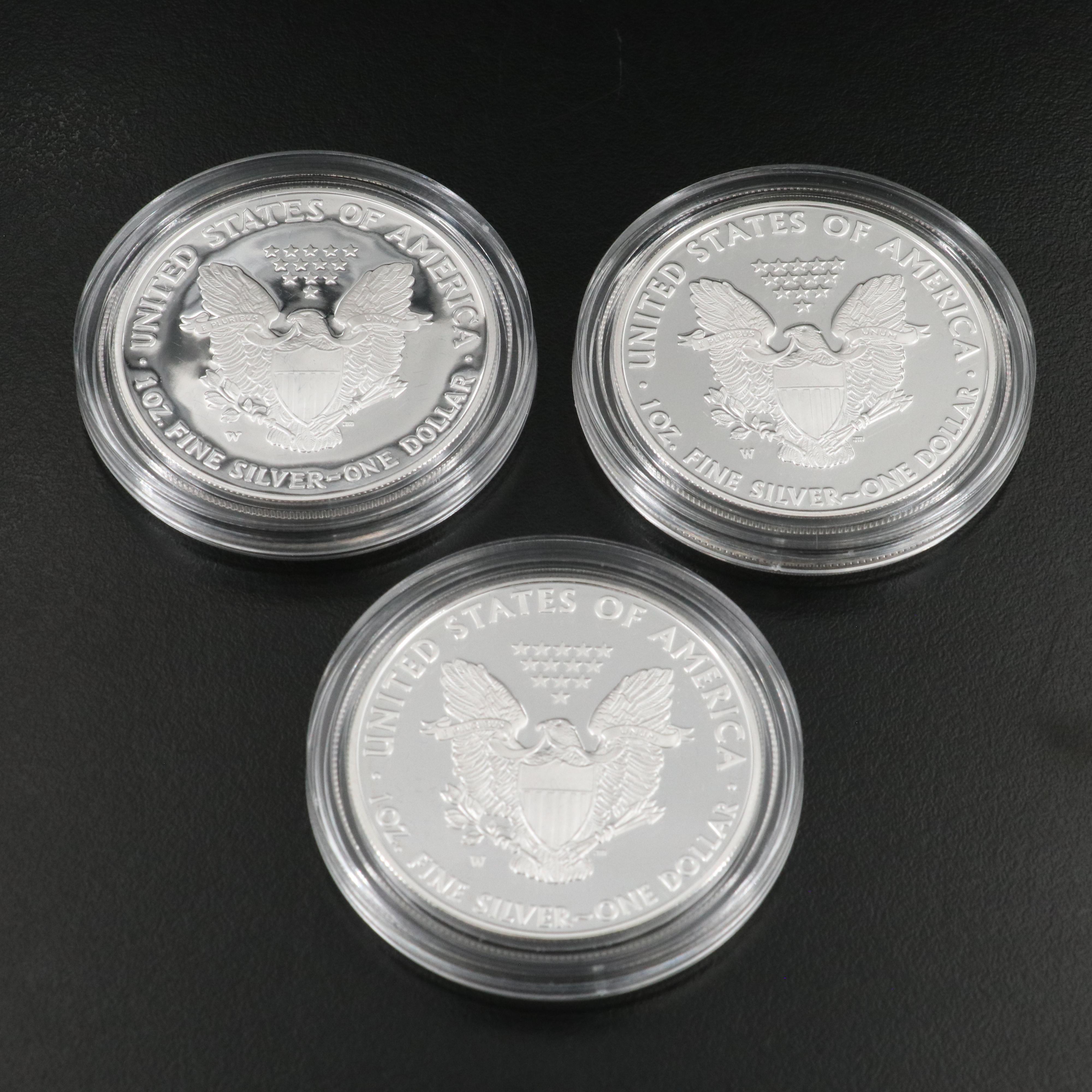 Ten American Silver Eagle Proof Coins