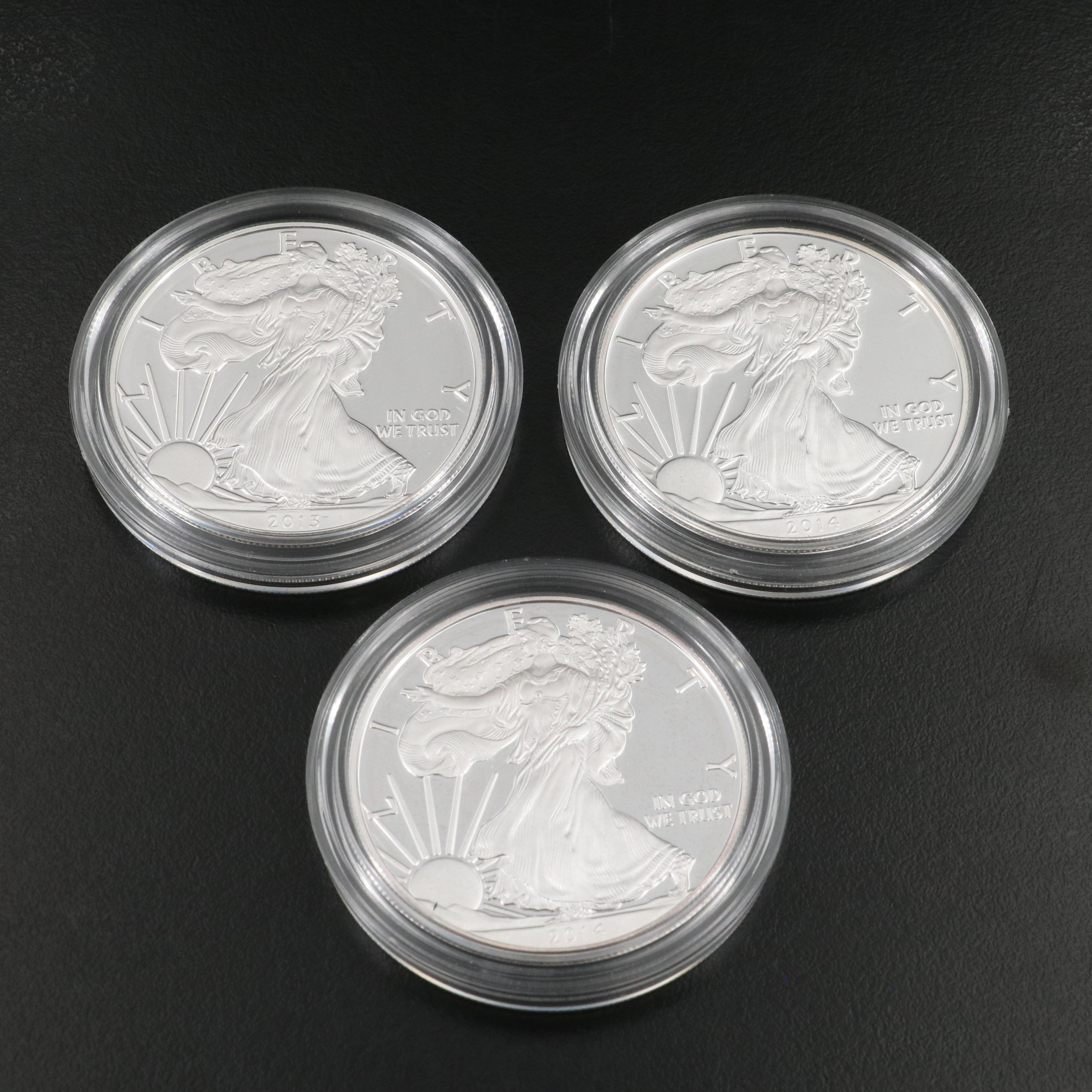 Ten American Silver Eagle Proof Coins