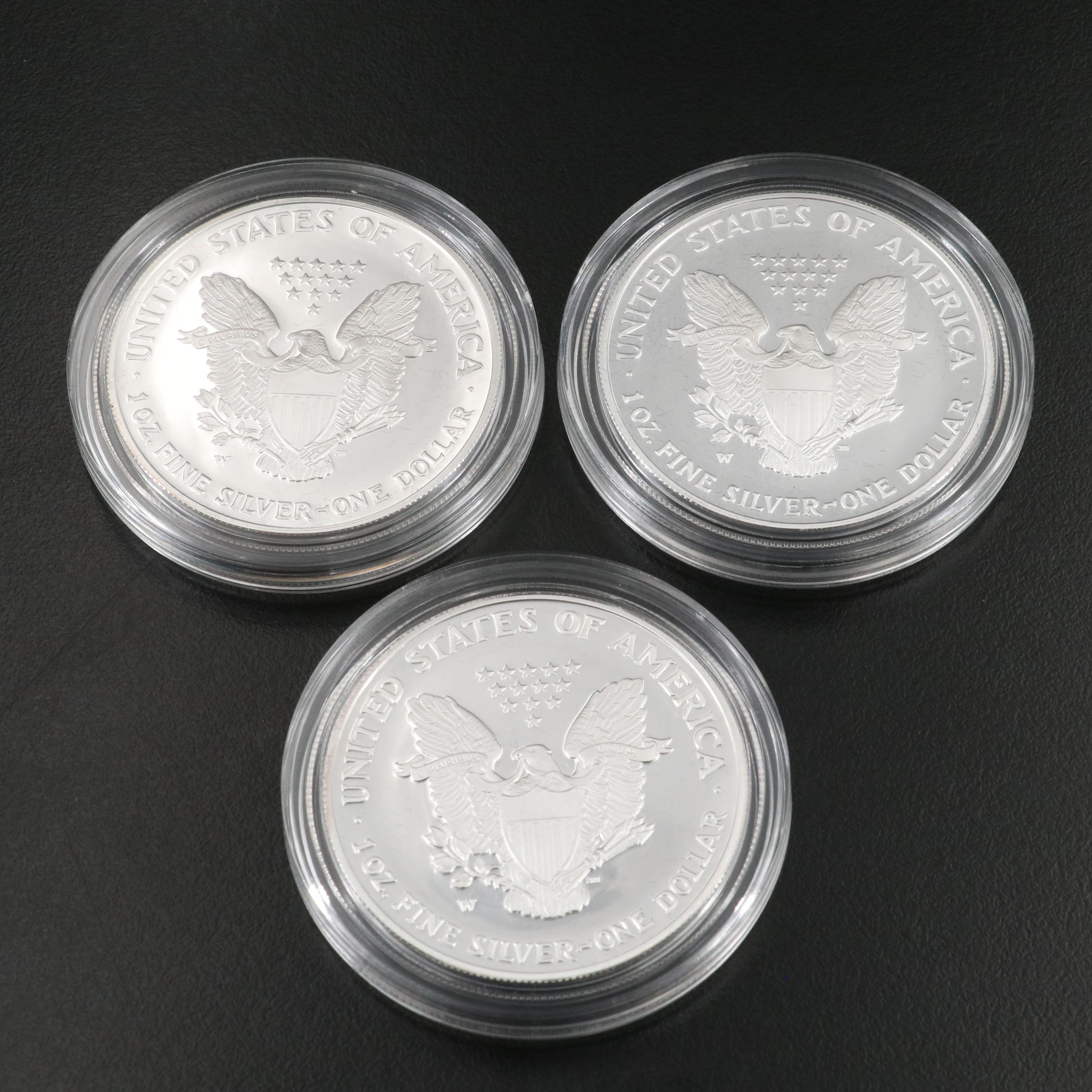 Ten American Silver Eagle Proof Coins