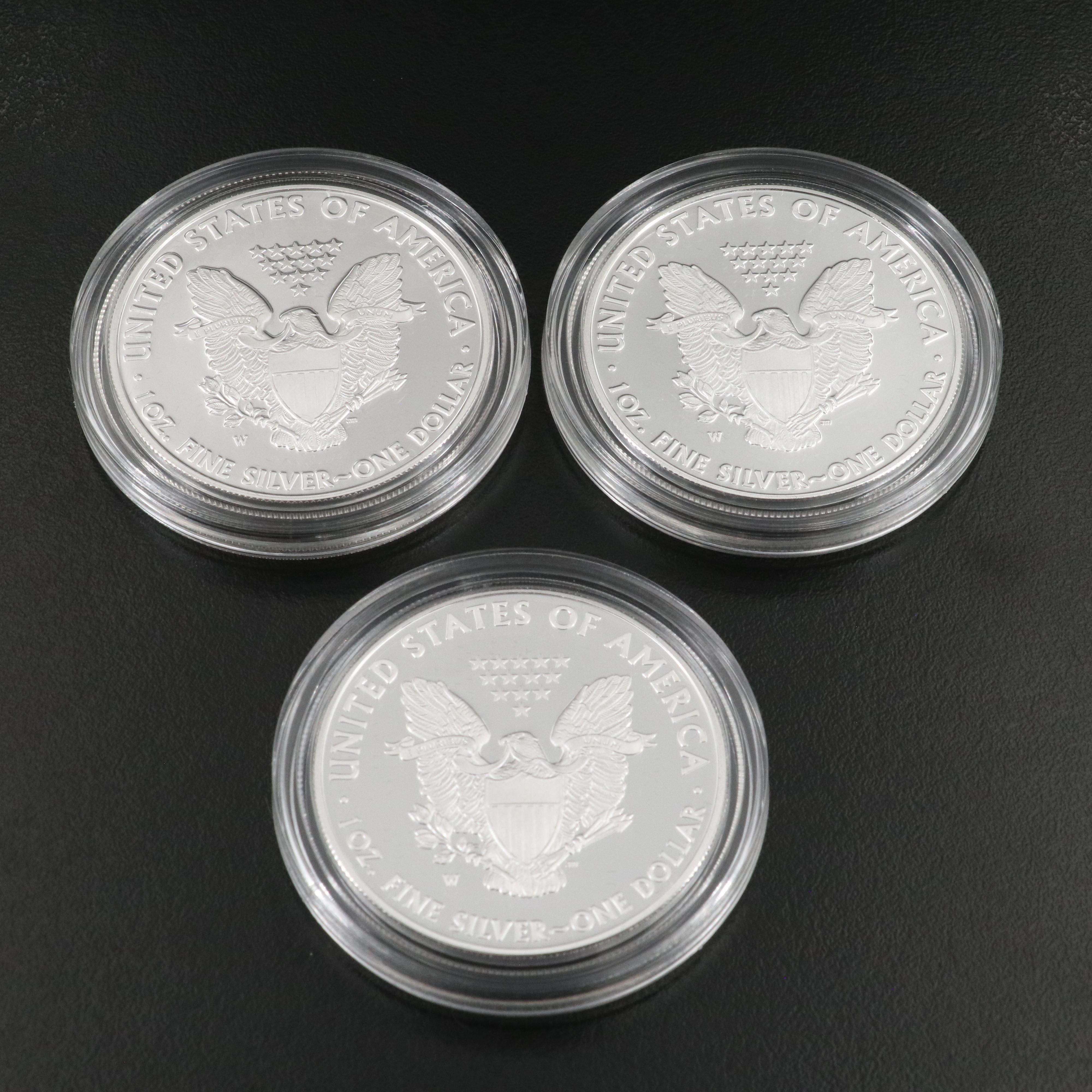 Ten American Silver Eagle Proof Coins