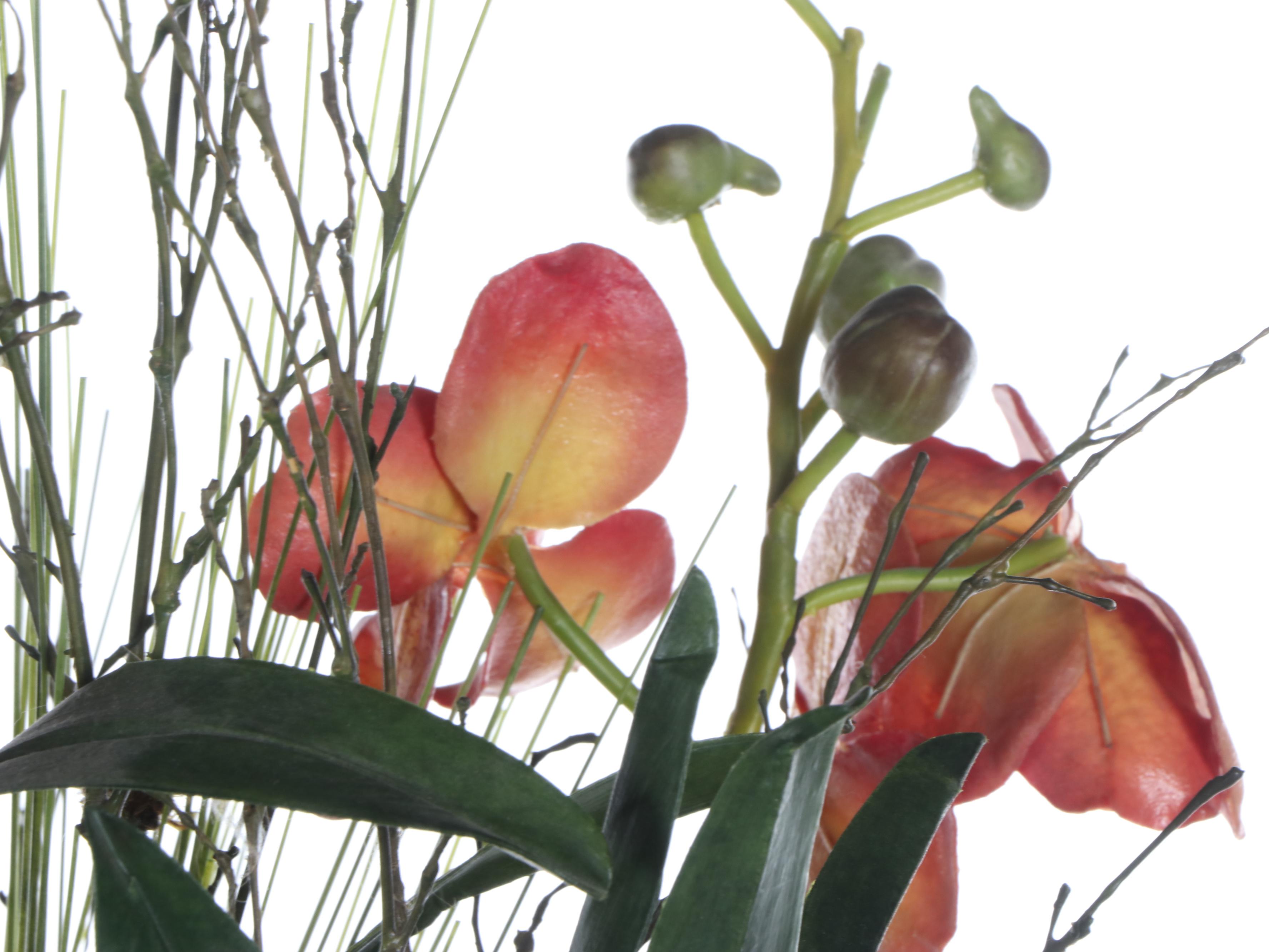 G. Wolff Green House Plant in Stand with Home Goods Candle Holder and Planters