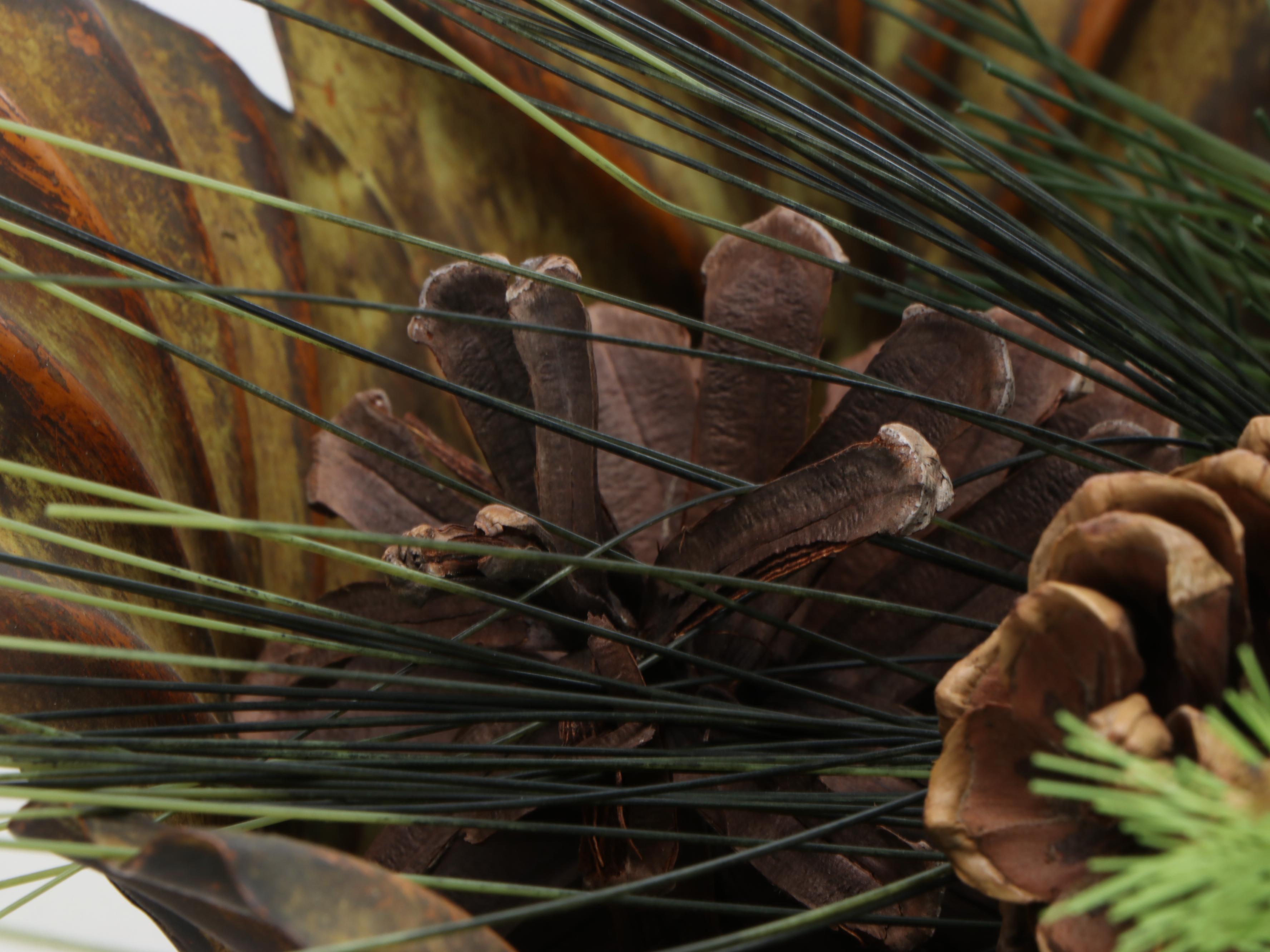 G. Wolff Green House Plant in Stand with Home Goods Candle Holder and Planters