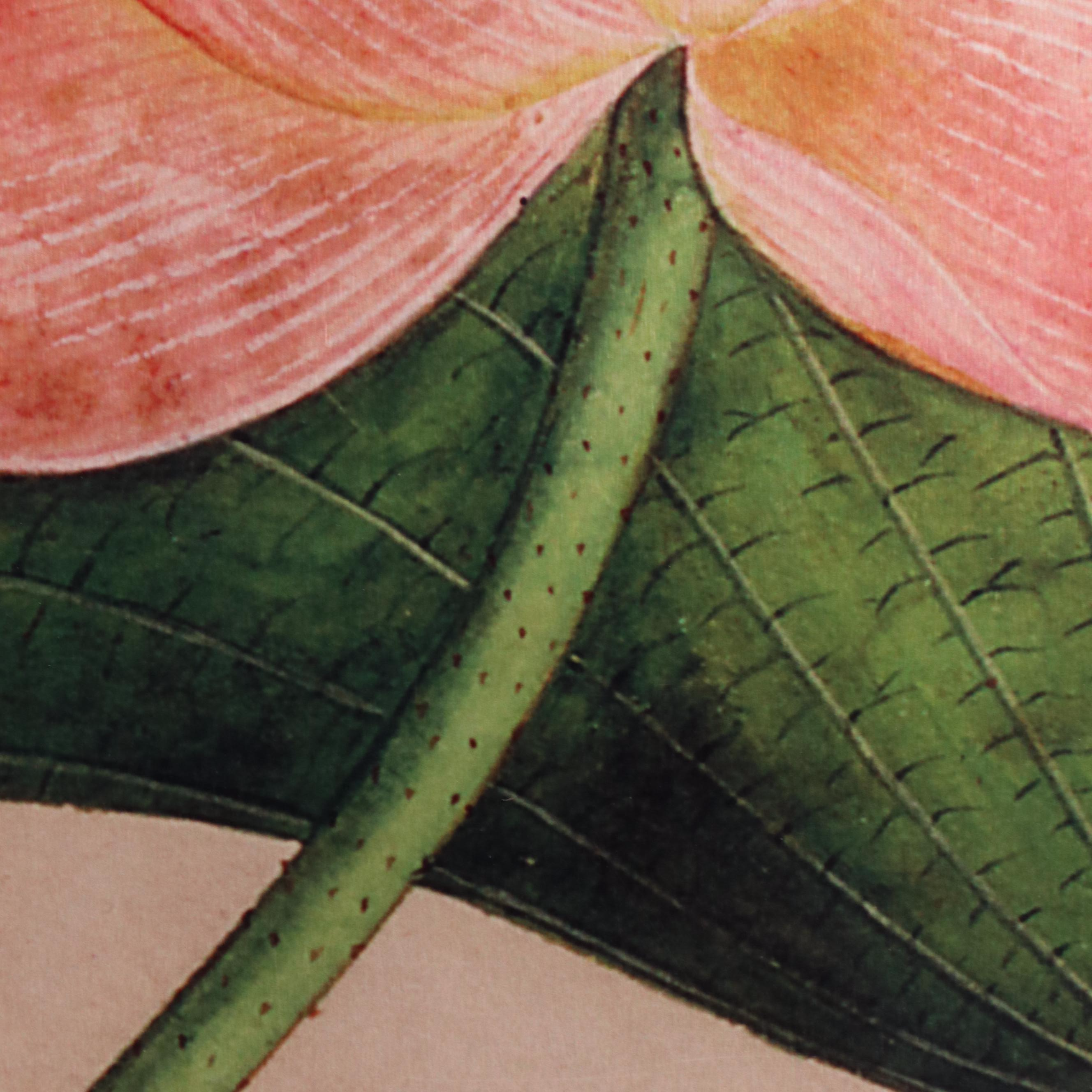 Giclée on Metal After Deborah Schenck "Lotus Flower"