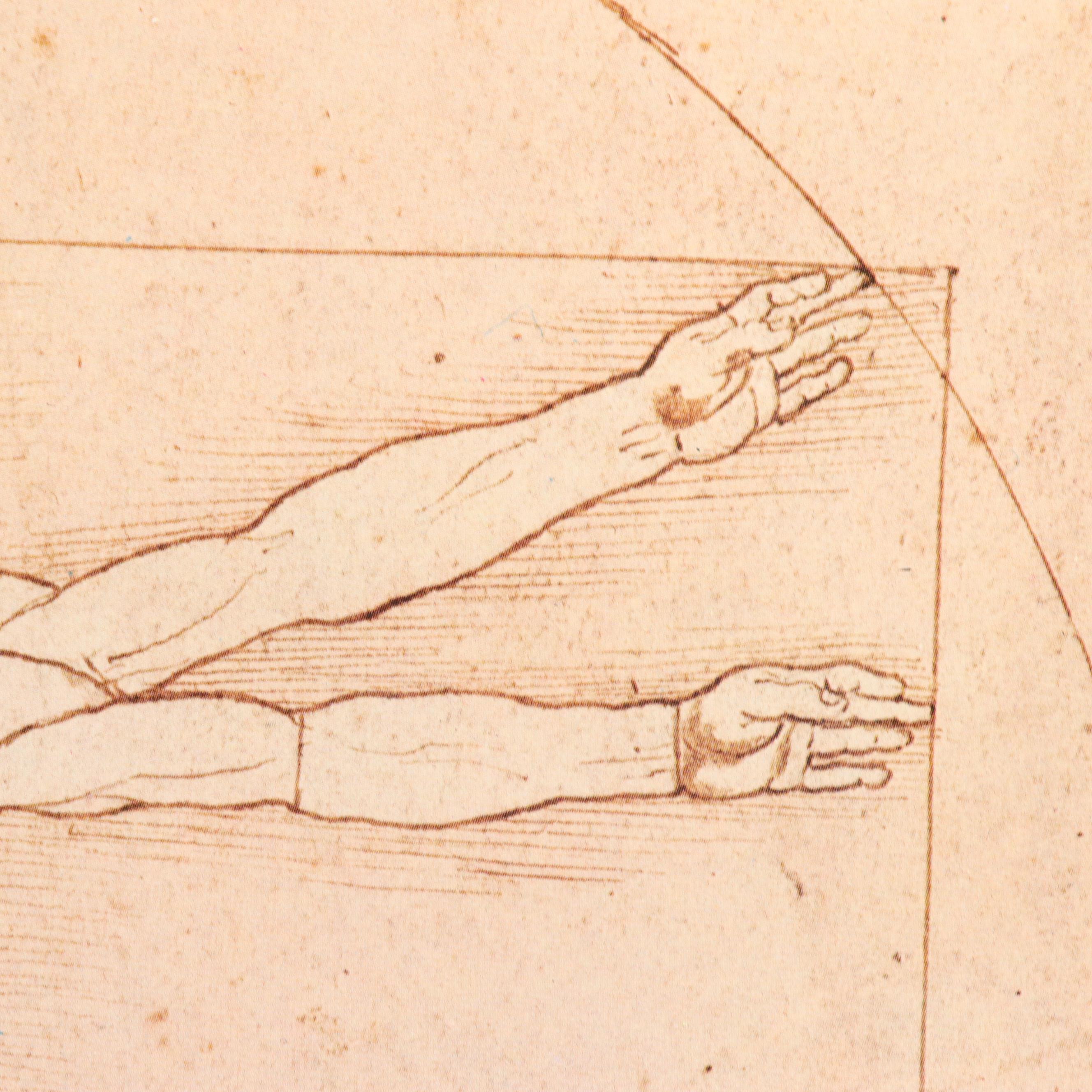 Offset Lithograph After Leonardo da Vinci's "Uomo Vitruviano"