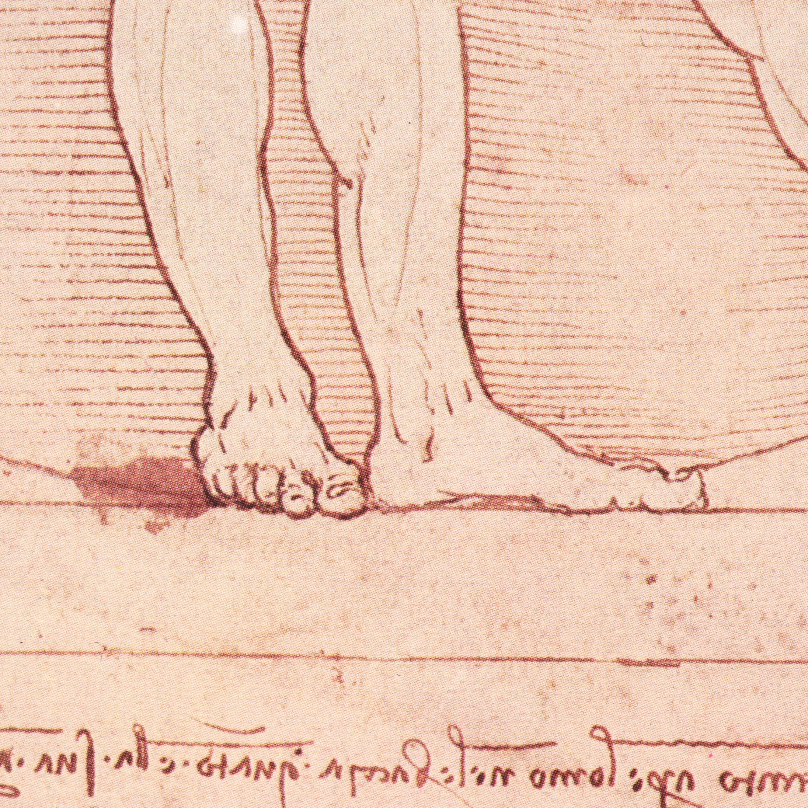 Offset Lithograph After Leonardo da Vinci's "Uomo Vitruviano"