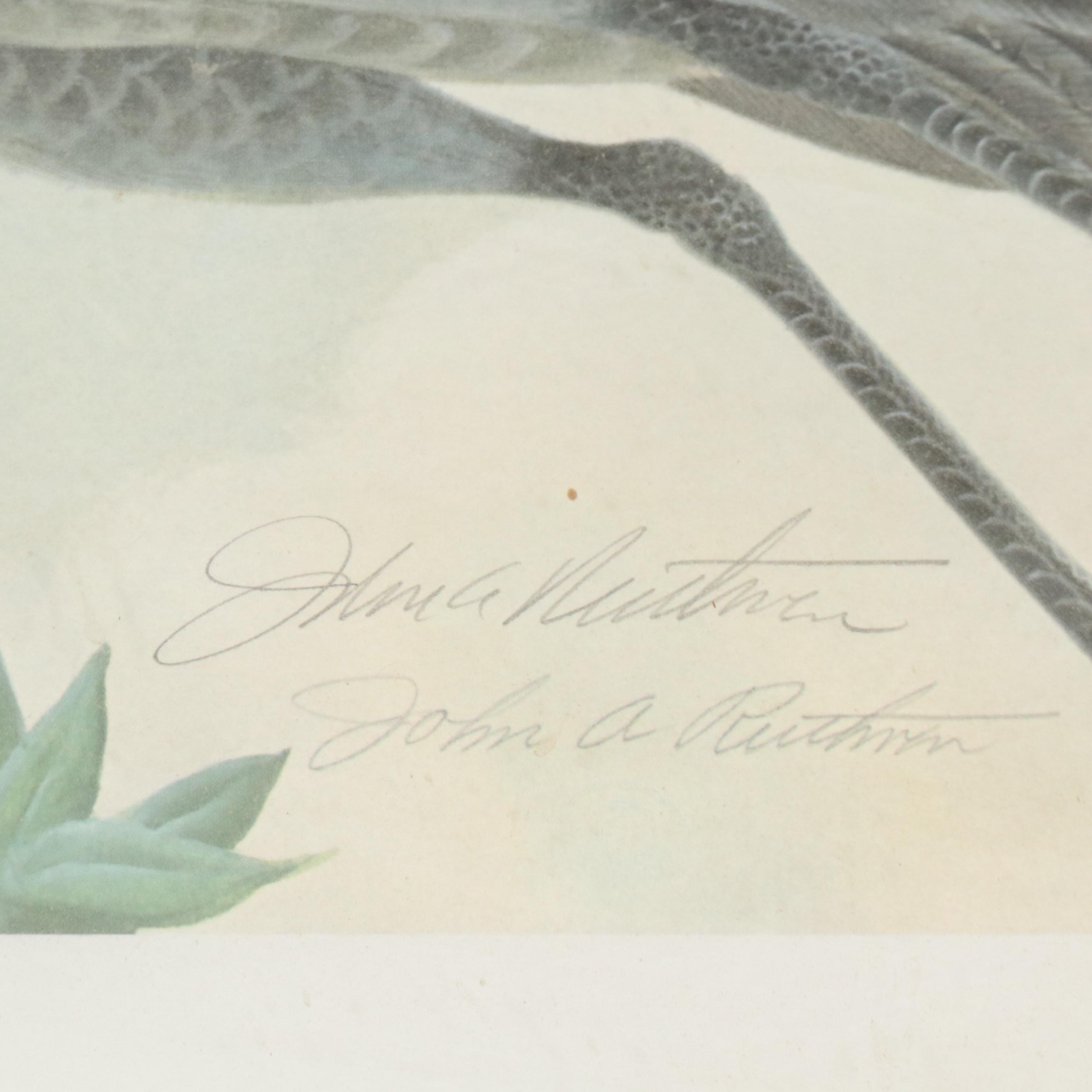 John A. Ruthven Offset Lithograph "Sand Hill Cranes," 1978