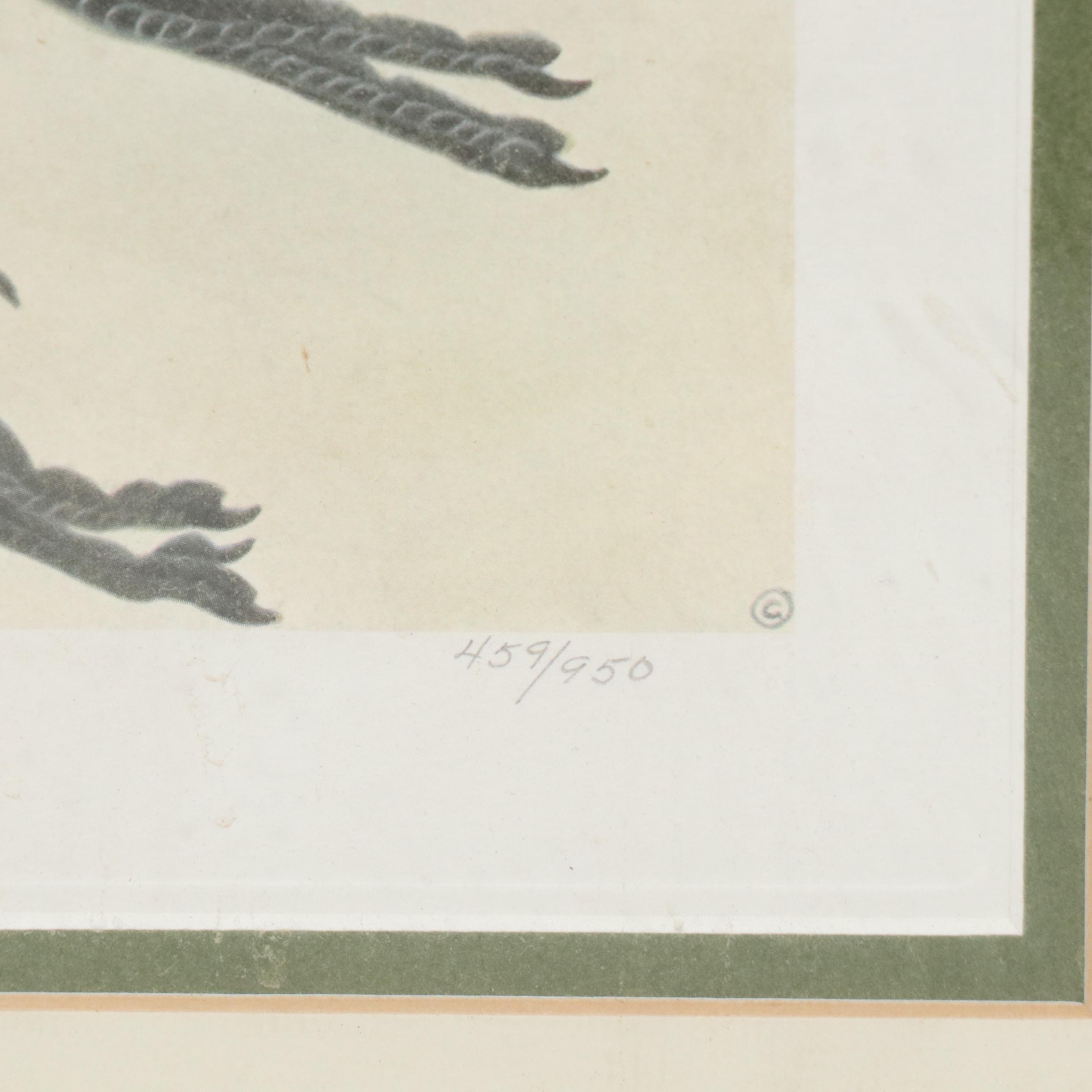 John A. Ruthven Offset Lithograph "Sand Hill Cranes," 1978