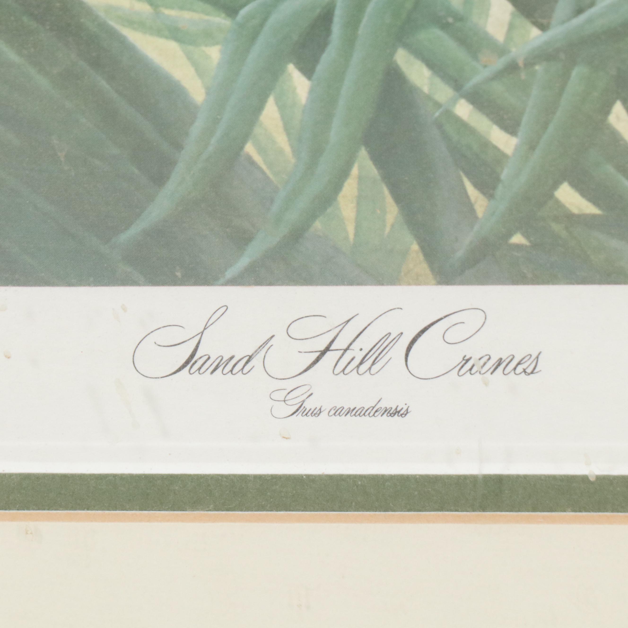 John A. Ruthven Offset Lithograph "Sand Hill Cranes," 1978