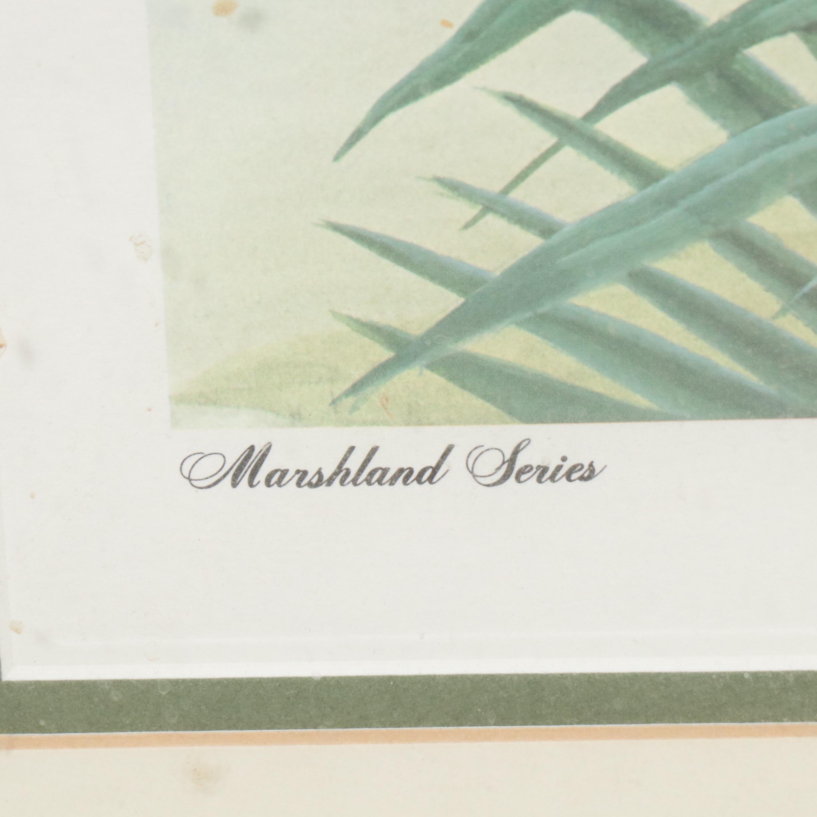 John A. Ruthven Offset Lithograph "Sand Hill Cranes," 1978